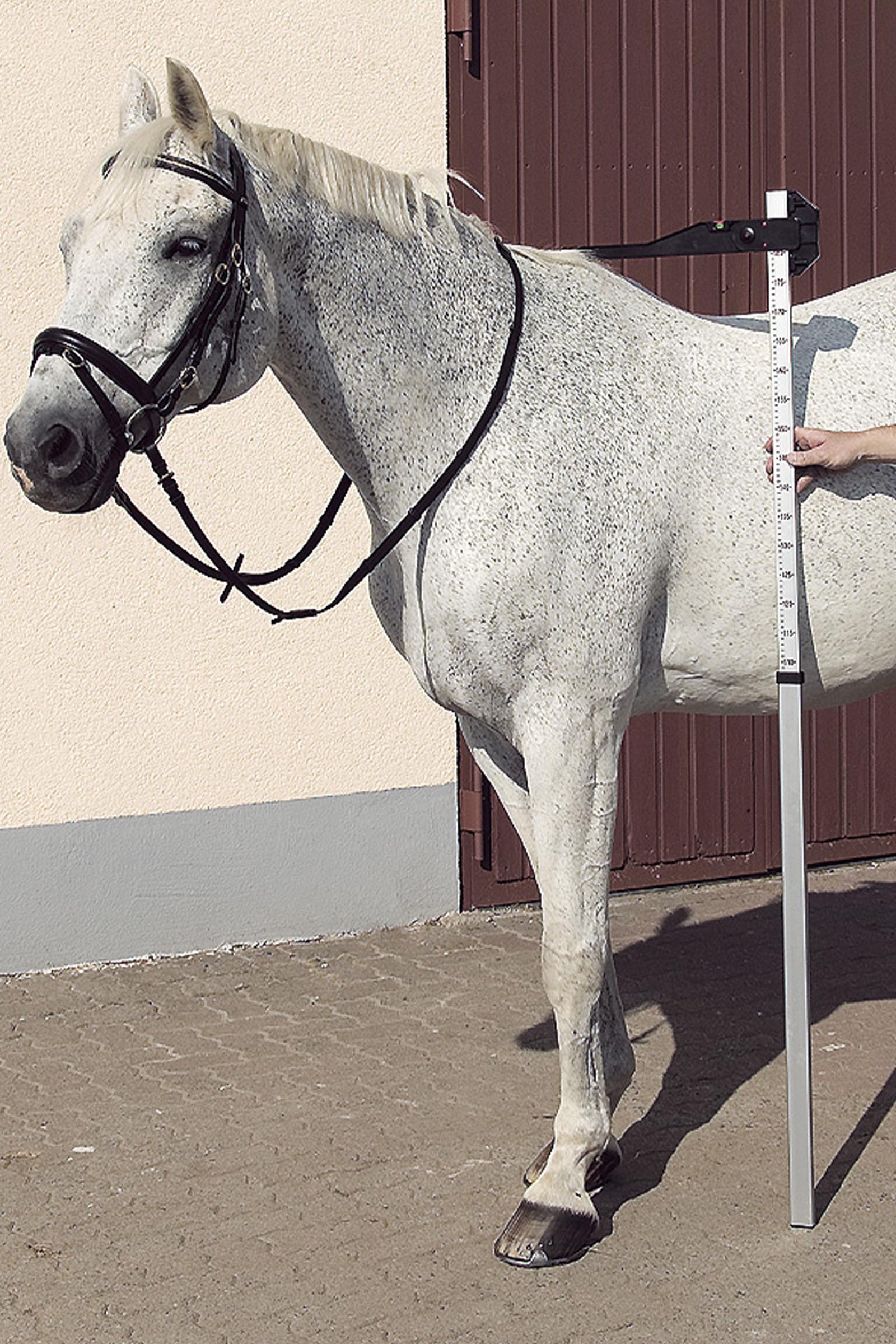 USG DLX aluminiums m&aring;lepinne