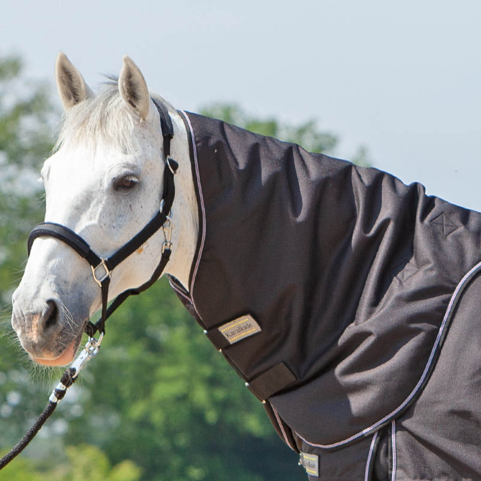 Kavalkade hals for Alaska IV, 100 g