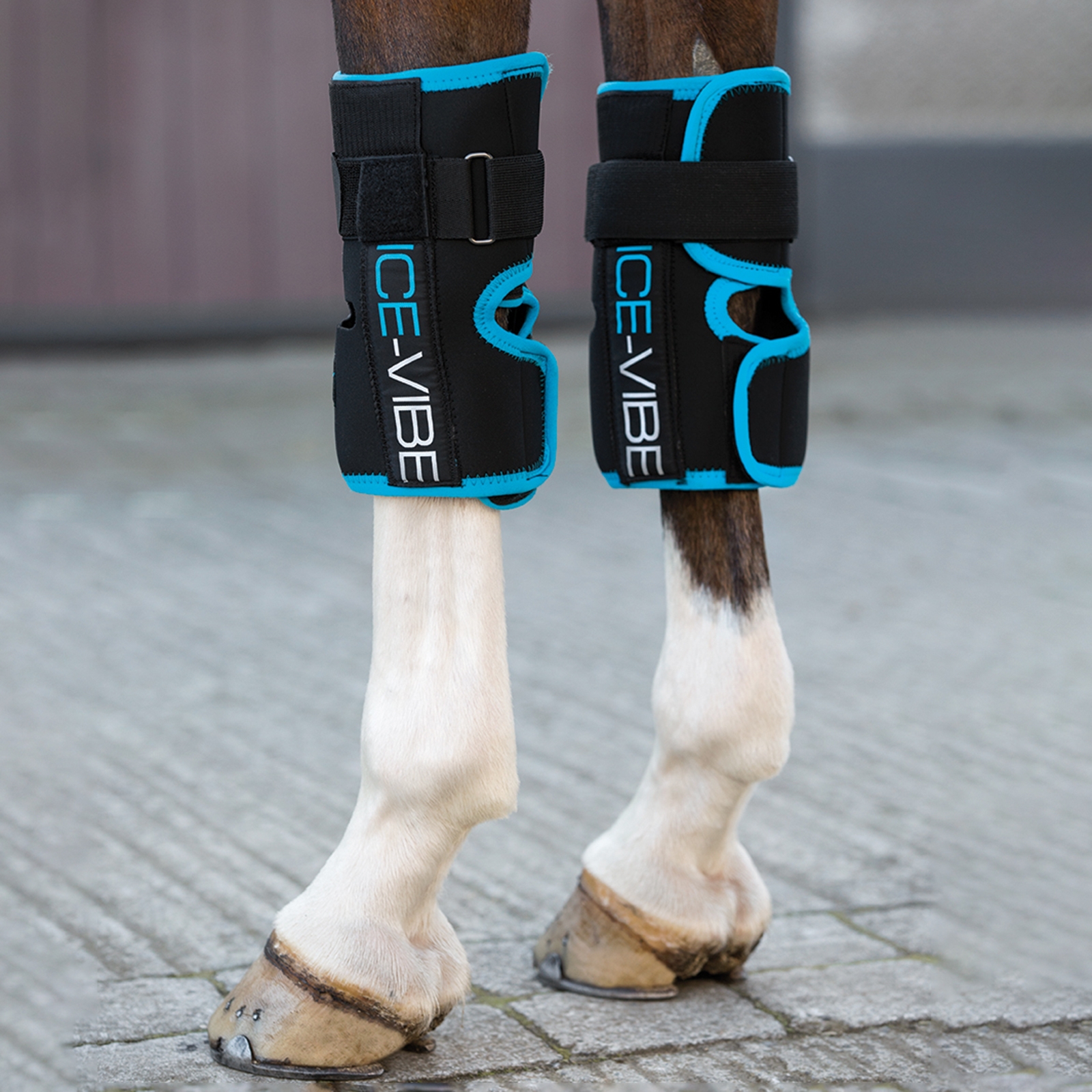 Horseware Ice-Vibe kneomslag
