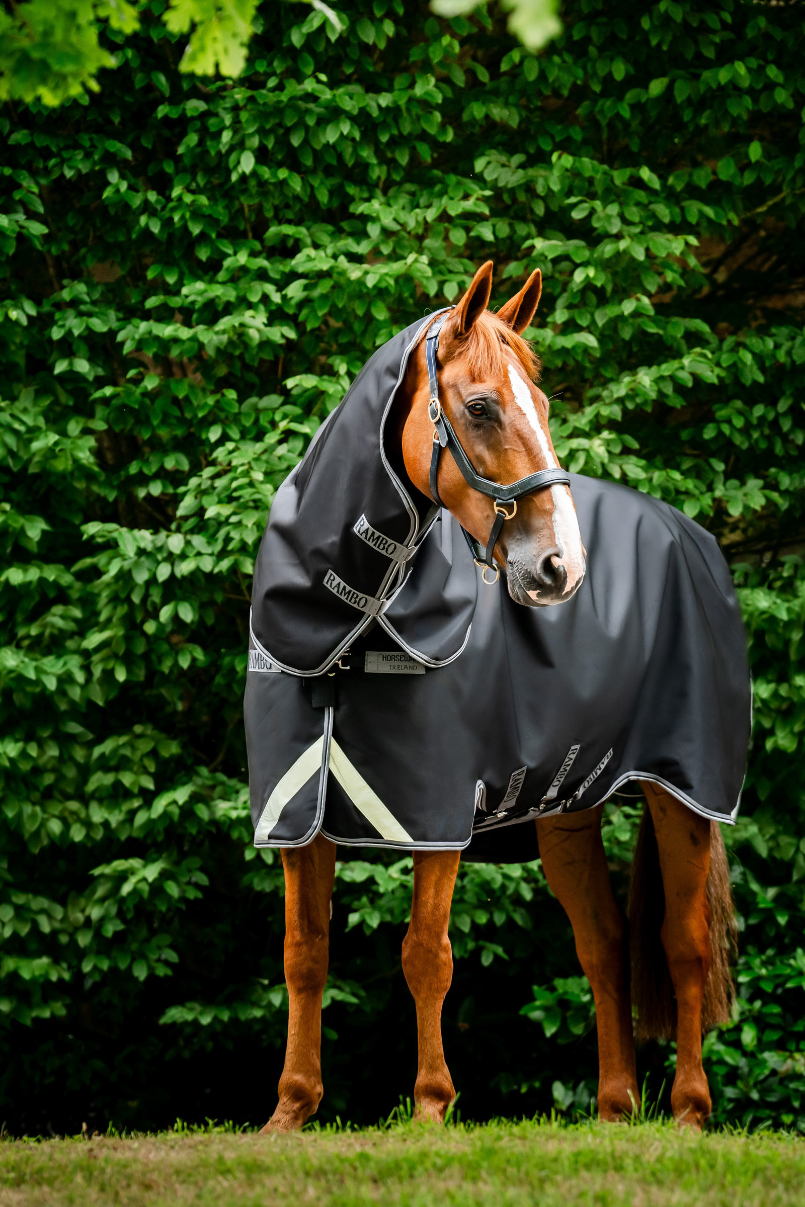 Horseware Rambo 1680D Plus utedekken, 100 g