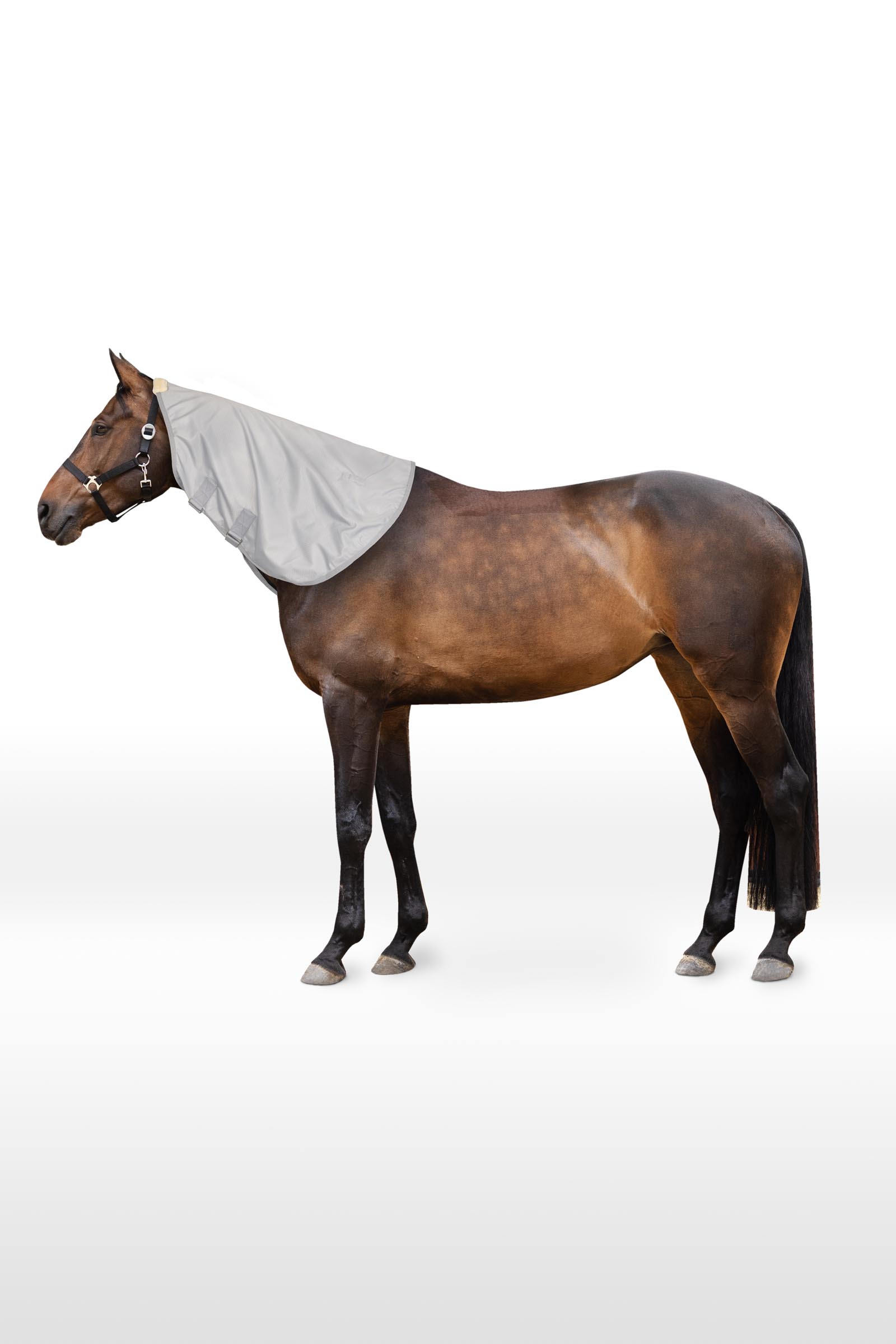 Horze Nevada 600D hals til utedekken