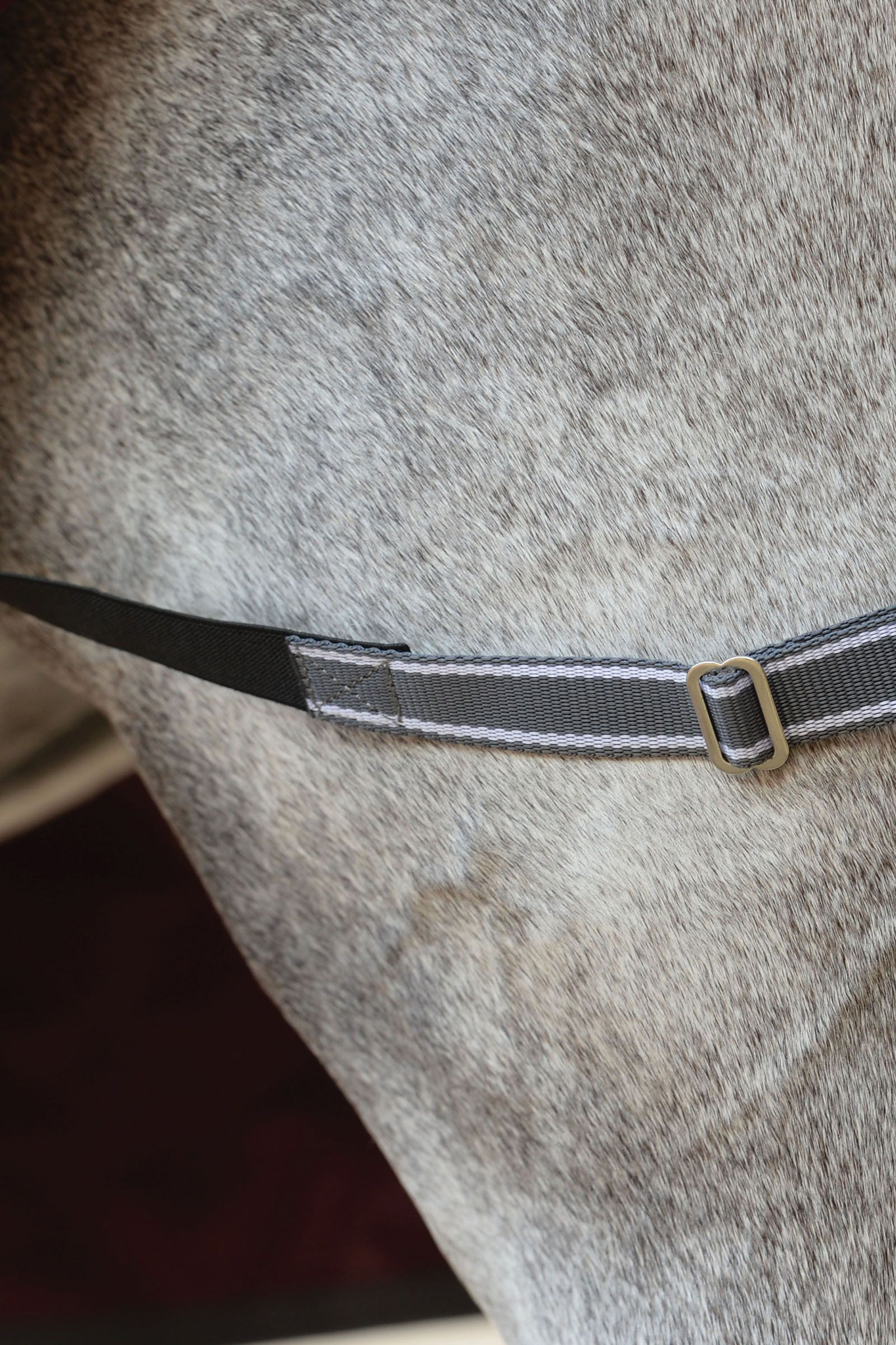 Weatherbeeta Comfitec Plus Dynamic II utedekken med hel hals, 220 gram