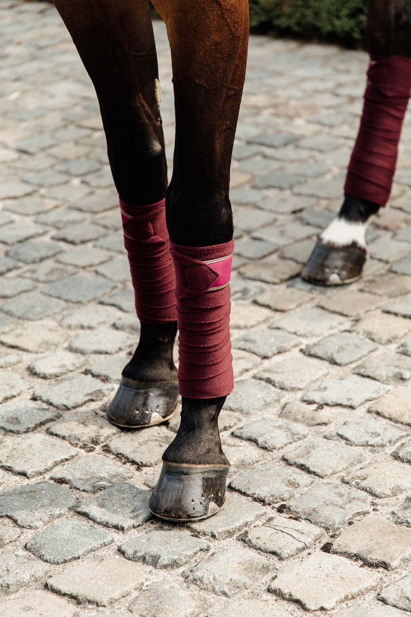 Kentucky Horsewear Polar Fleece Poloskjorter