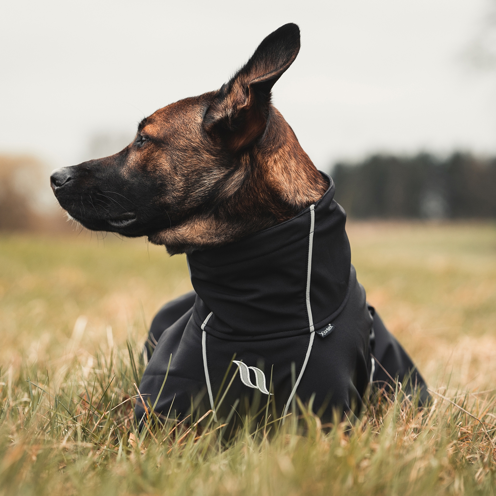 Back on Track Nella allround hundedekken, 55-65 cm