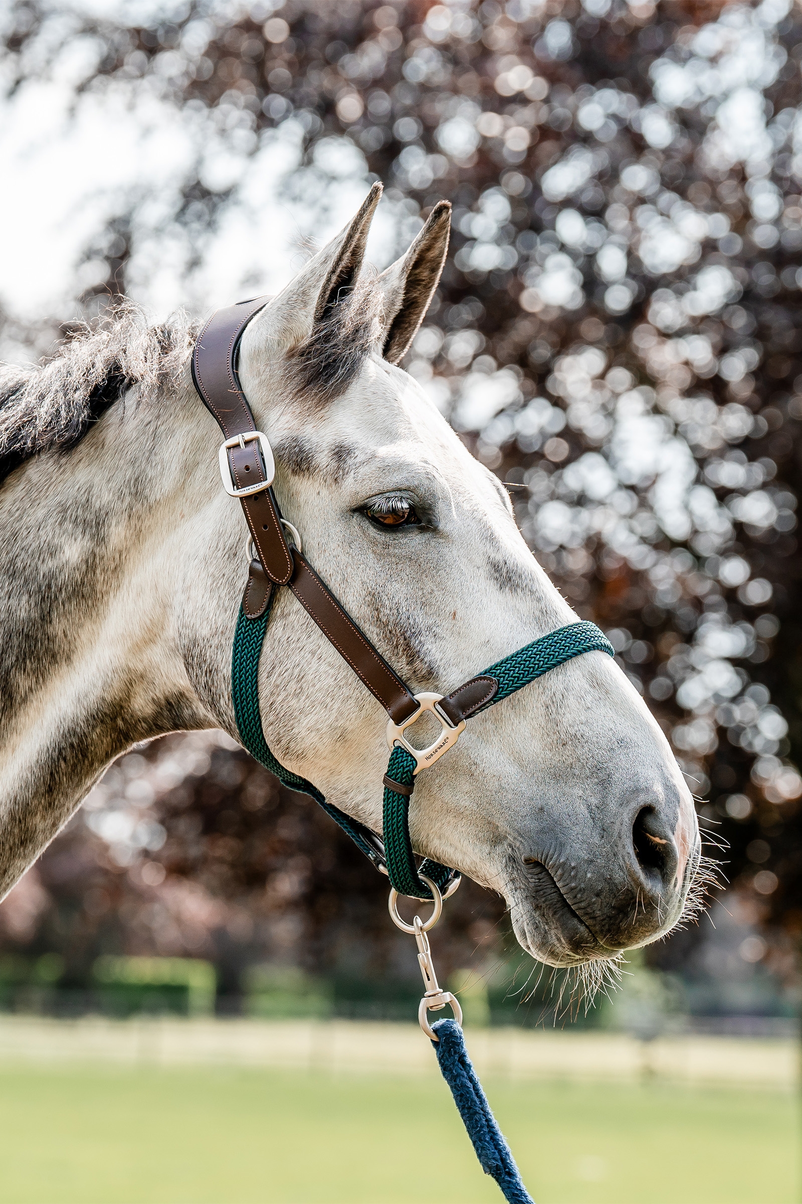 Horseware Signature flettet grime