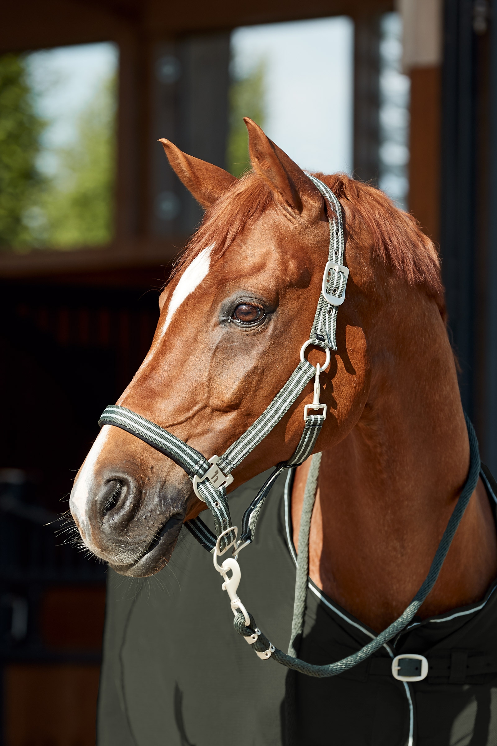 Horze Bari grime og leietau, sett