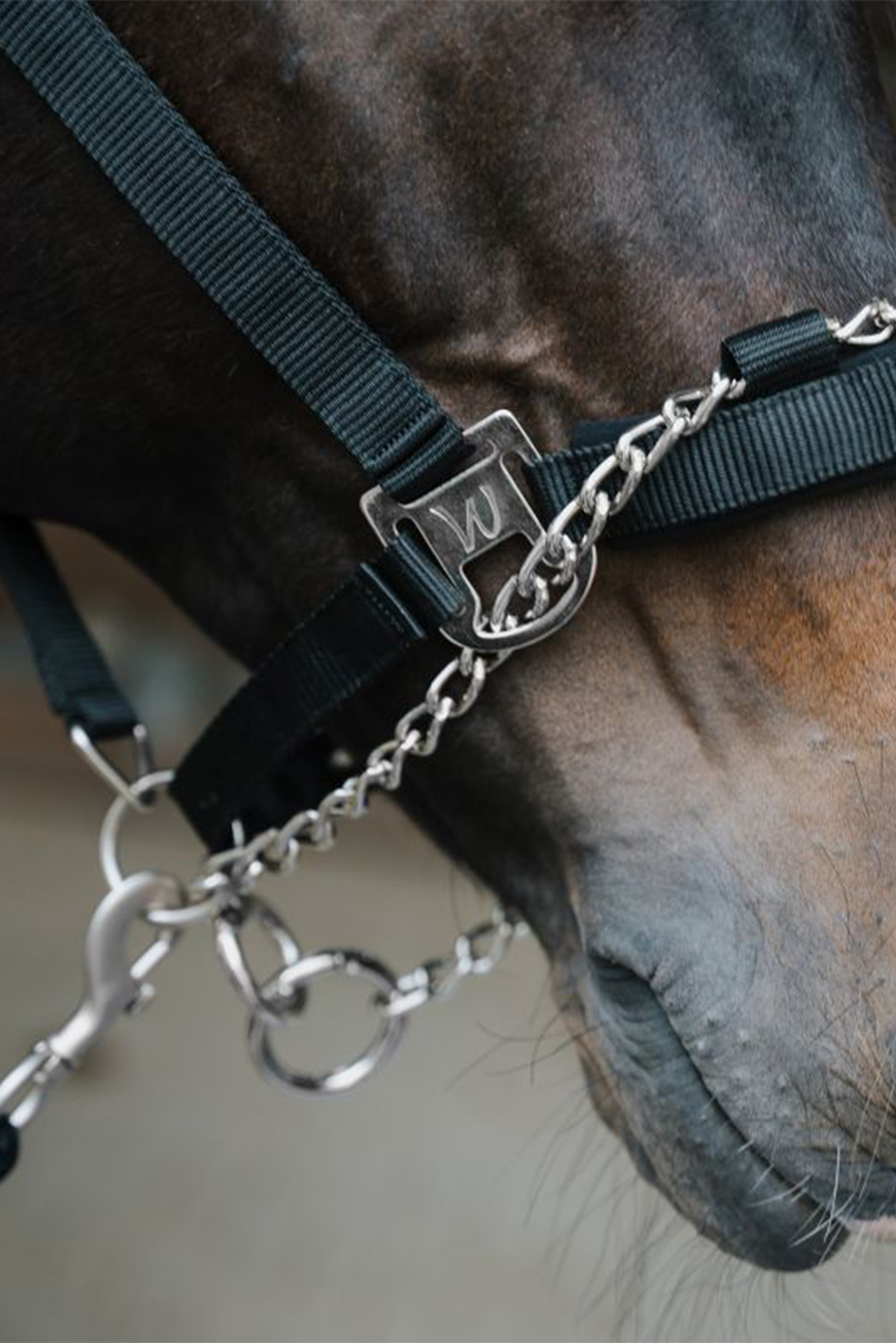 Waldhausen Pro Safety grime