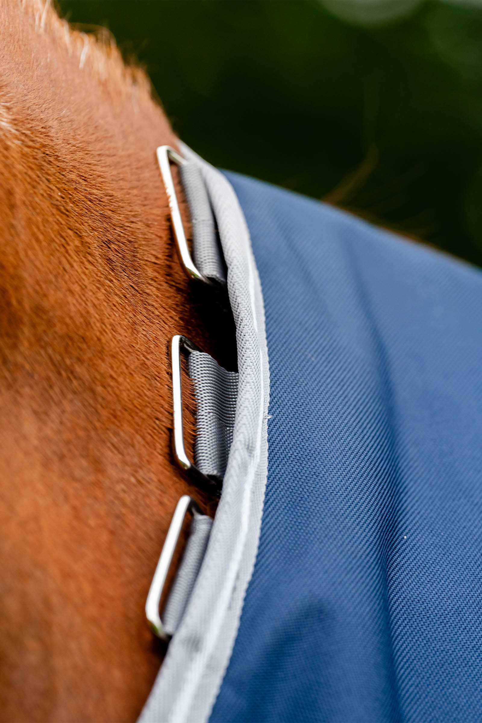 Horseware Amigo 1200D utedekken, 50 g