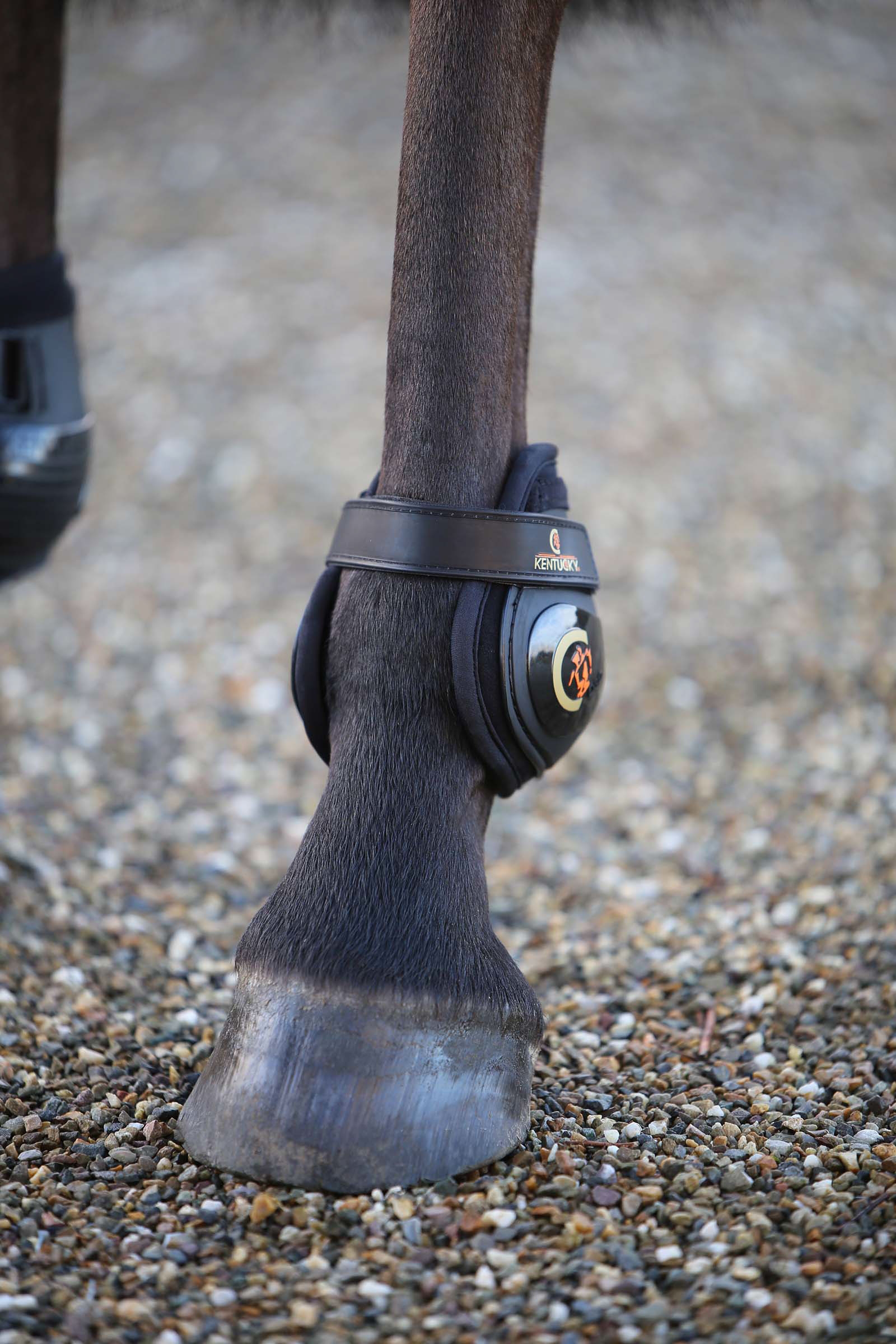 Kentucky Horsewear Moonboots, bakbein