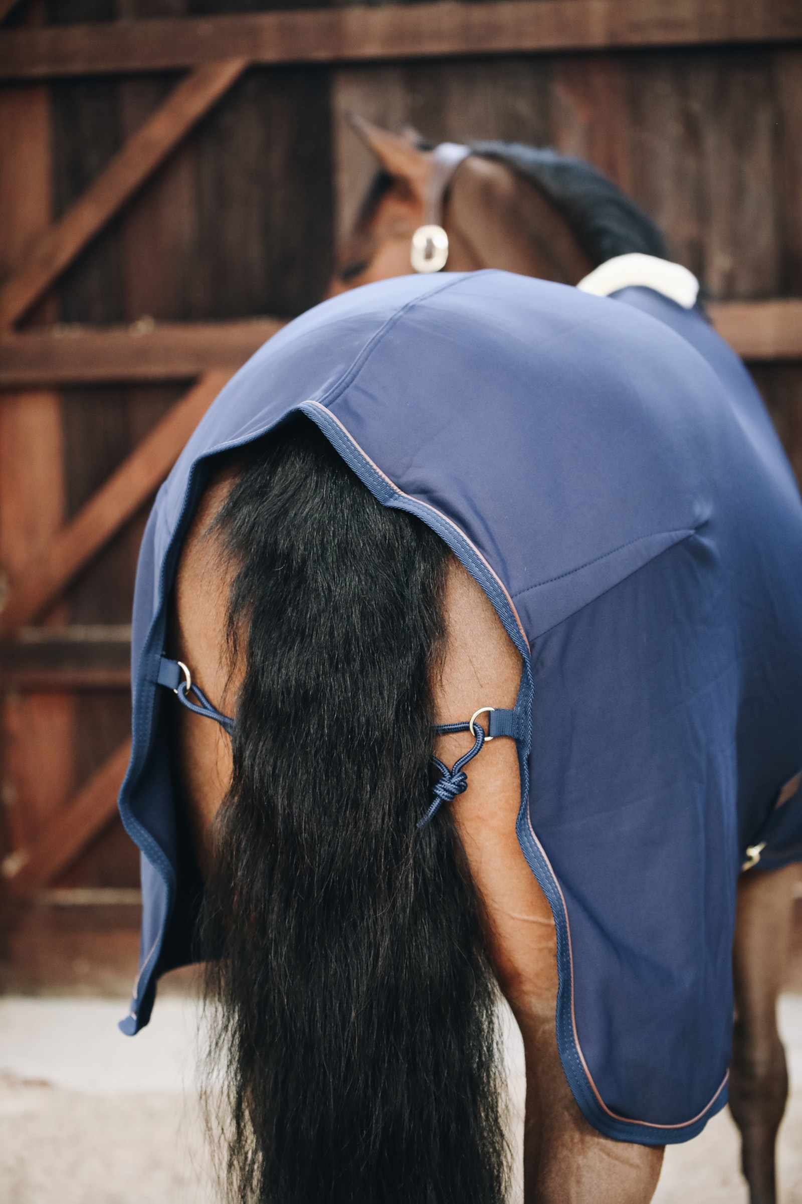 Kentucky Horsewear Tiny Fleece cooler