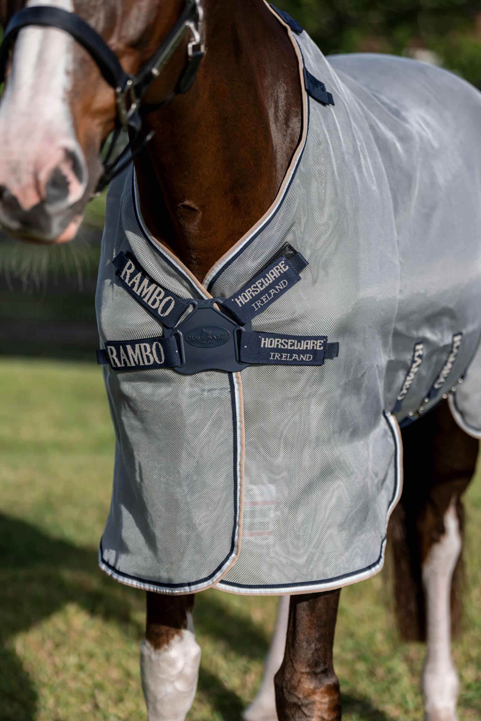 Horseware Rambo Protector Fieldsafe Plus dekken