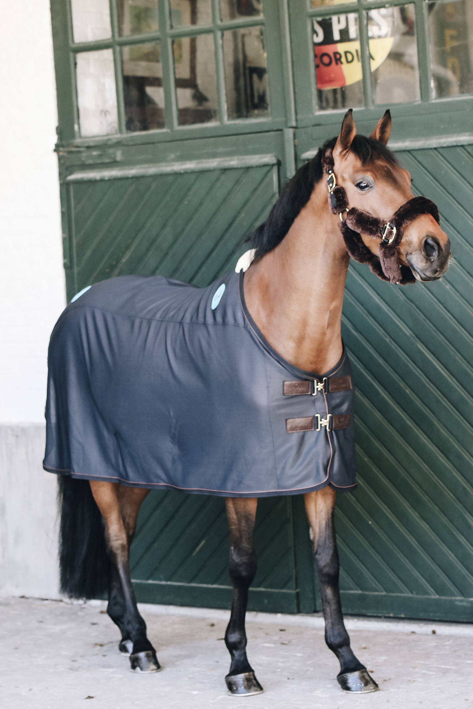 Kentucky Horsewear Recuptex magnetisk dekken