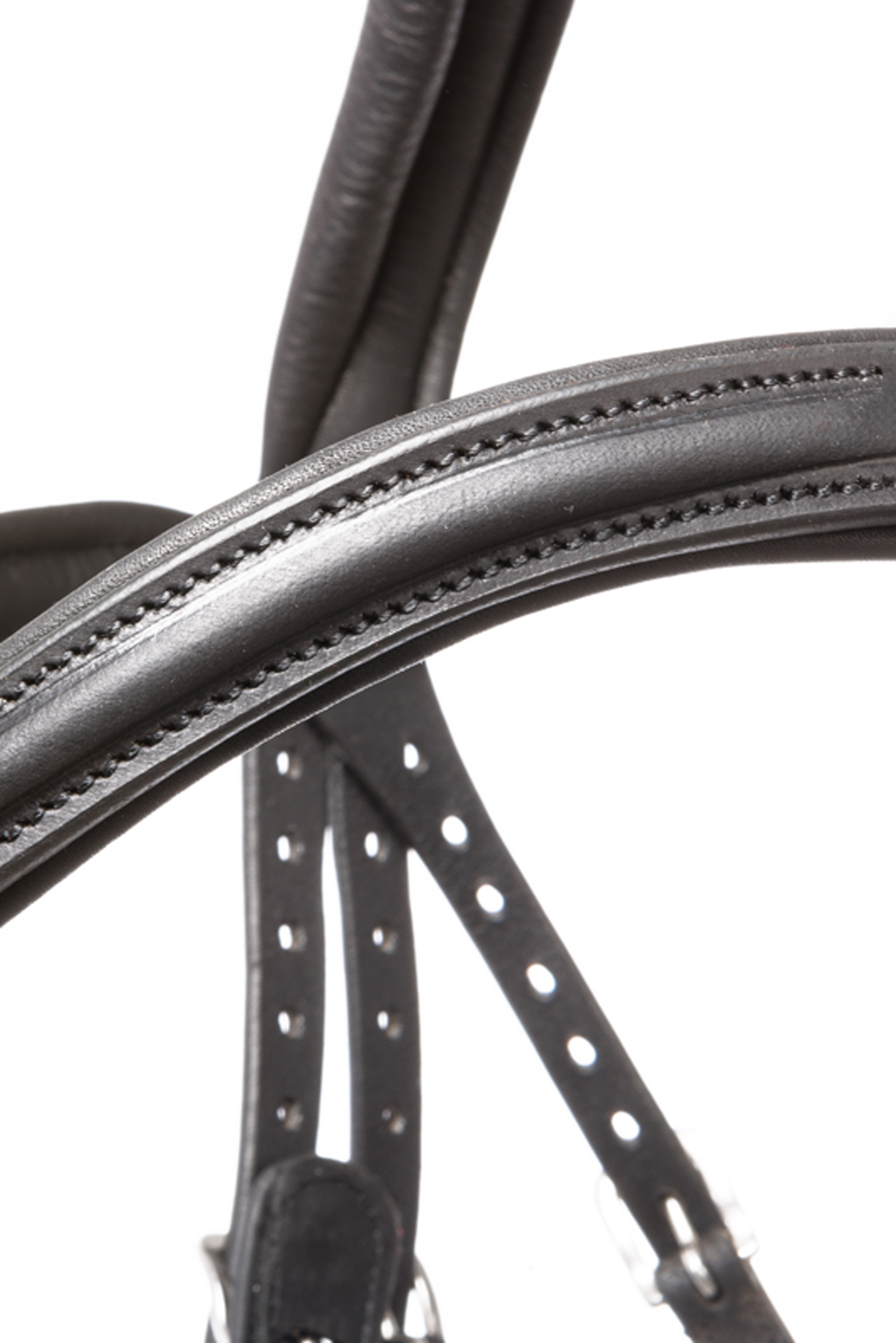 Kavalkade hodelag Everado med meksikansk nesereim