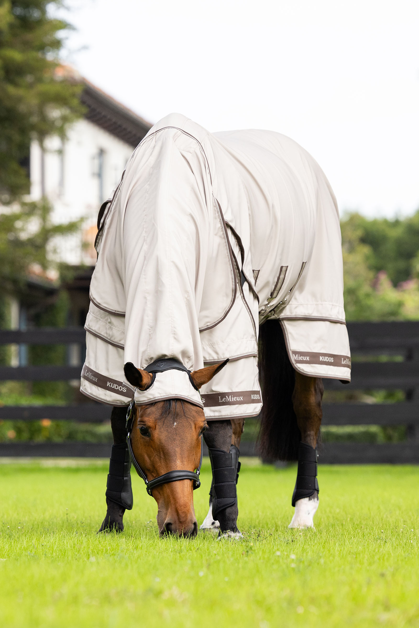 LeMieux Kudos eksemdekken
