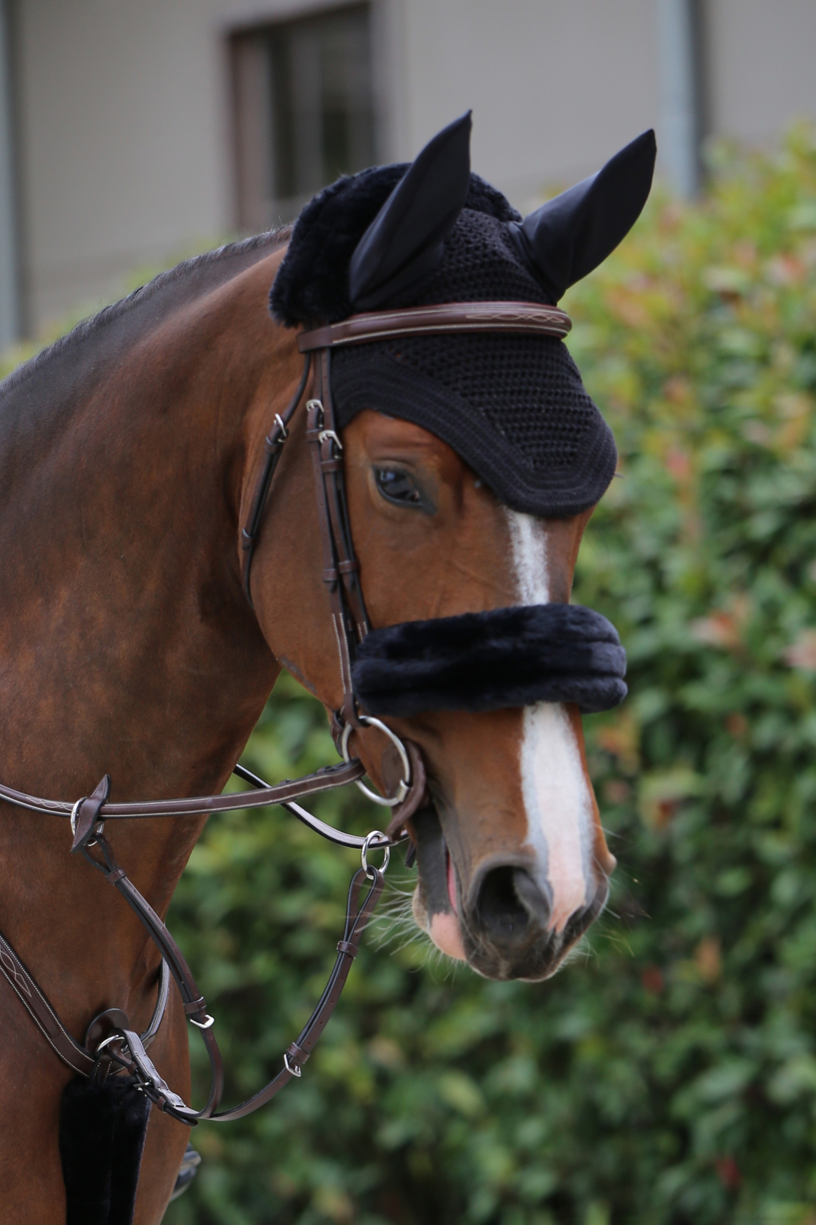 Black Kentucky Horsewear saueskinnsbeskyttelse for nesereim