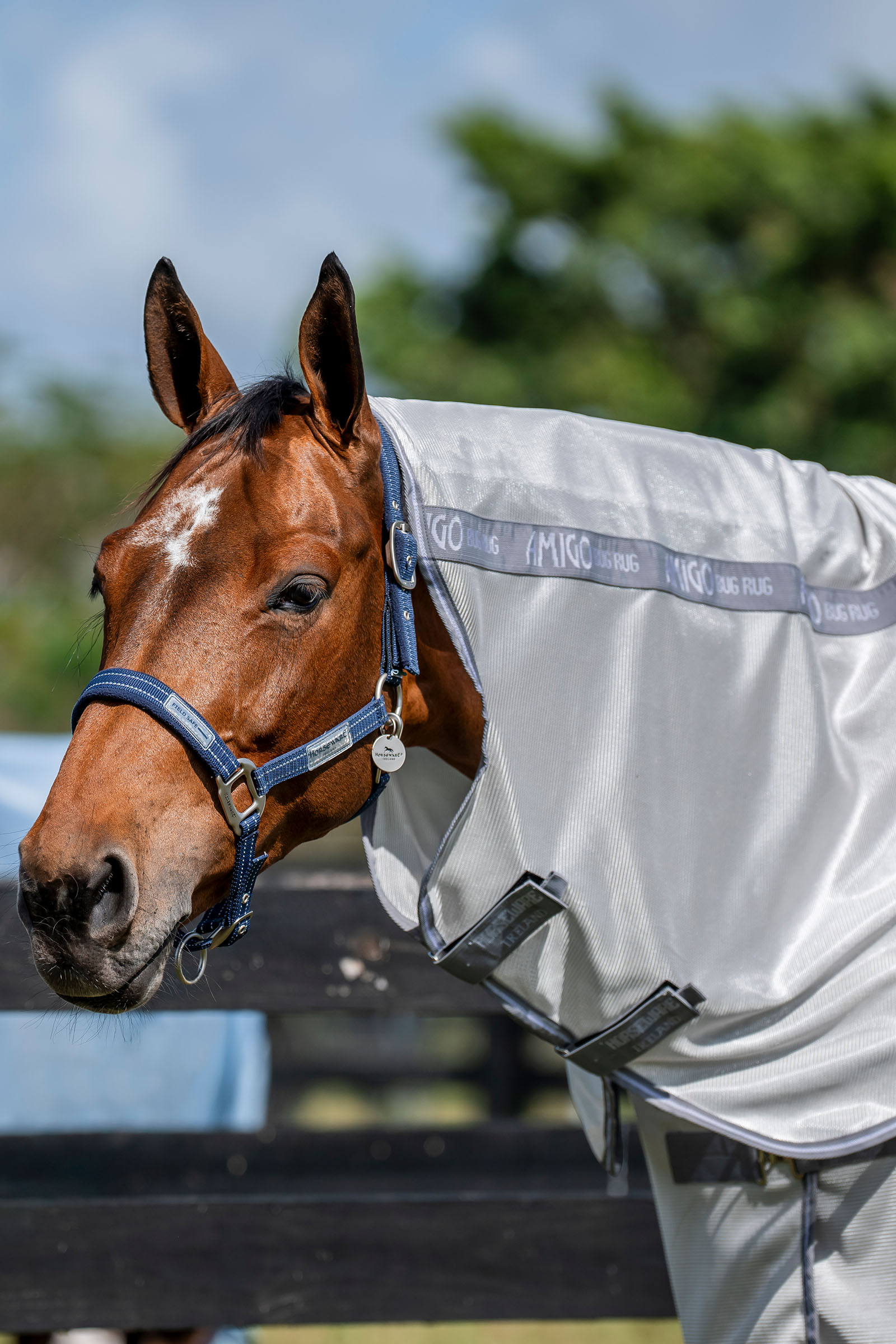 Horseware Amigo Fluedekken Plus