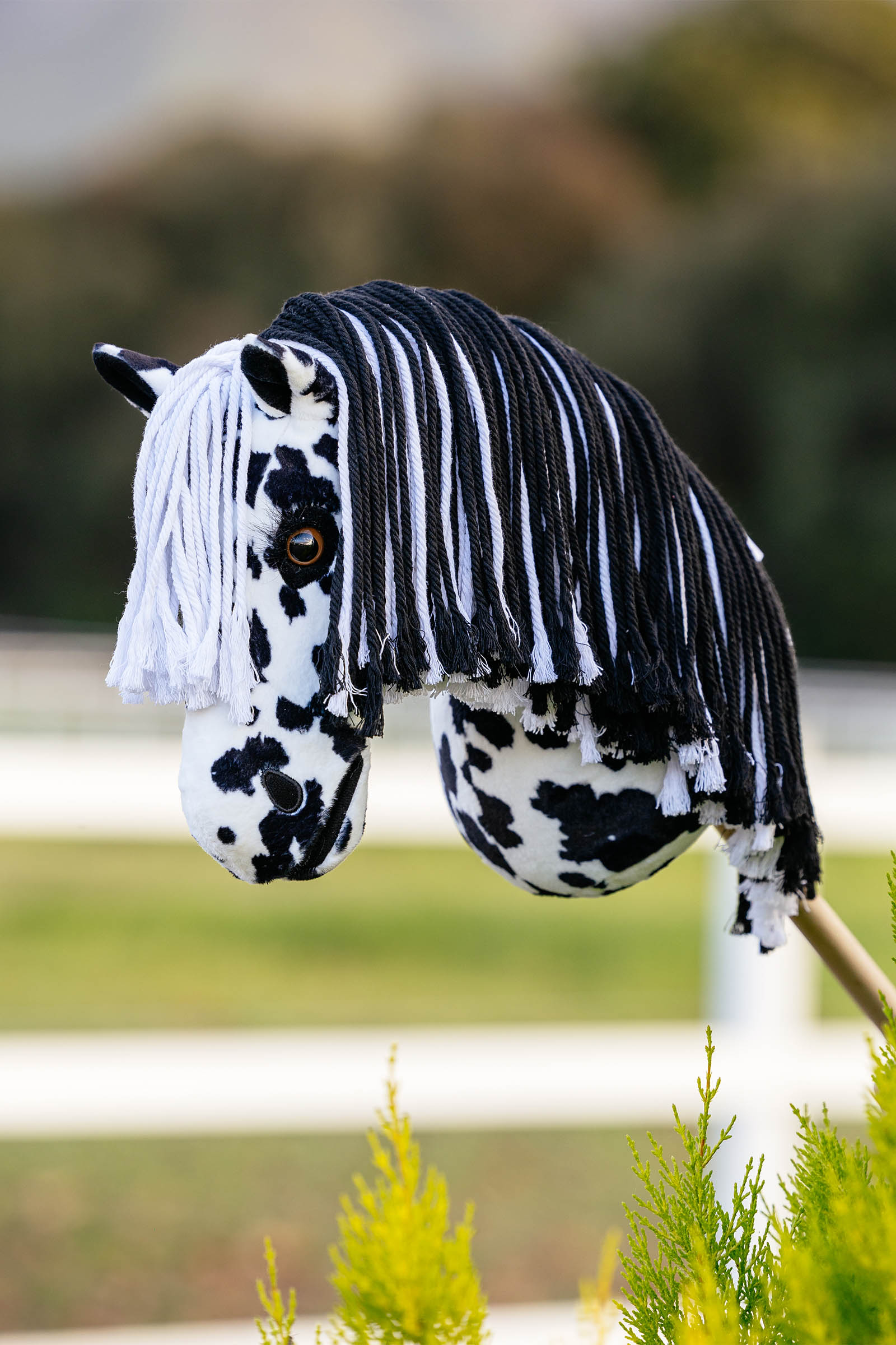 LeMieux Dakota kjepphest