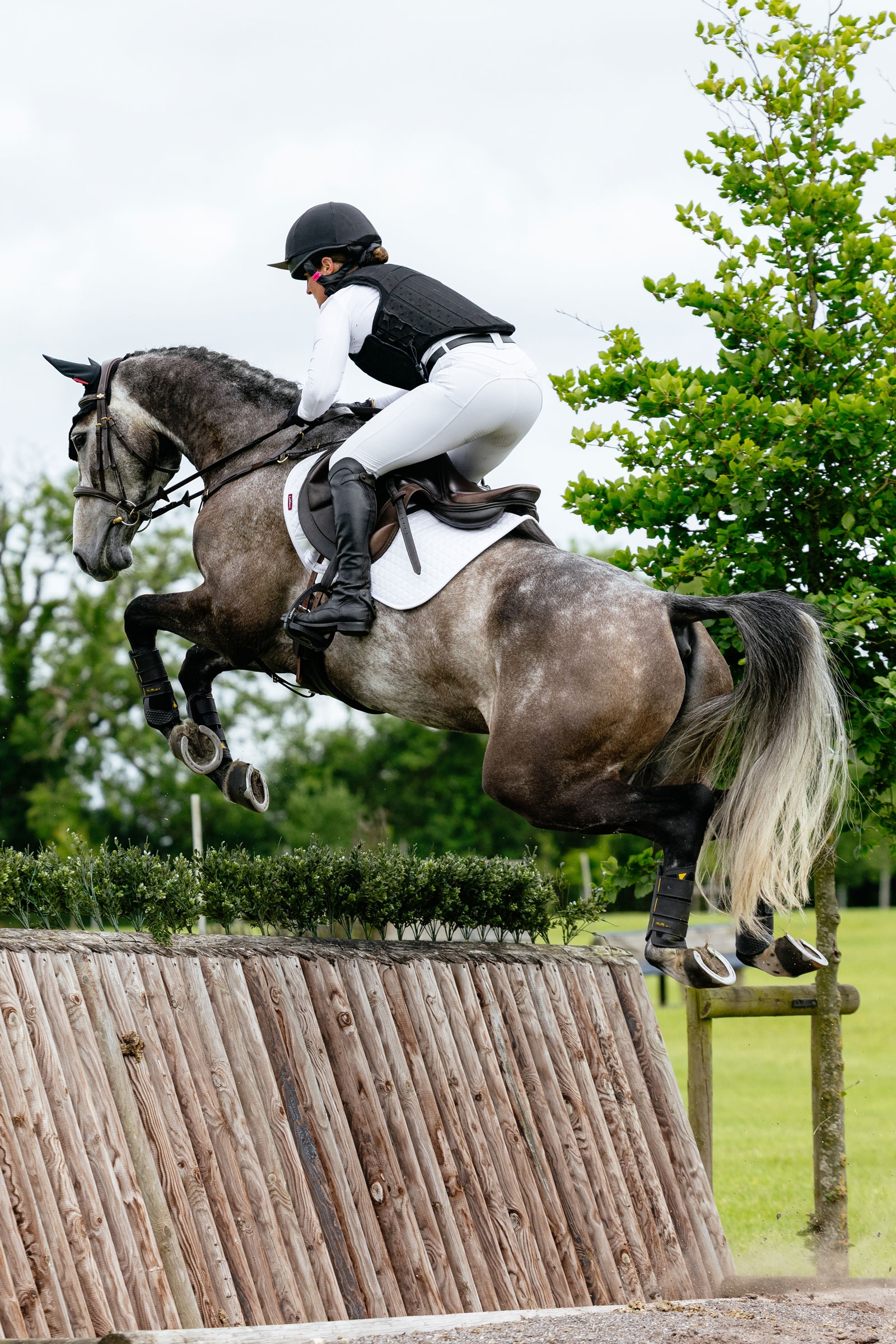 LeMieux Suede Close Contact sprangsjabrak