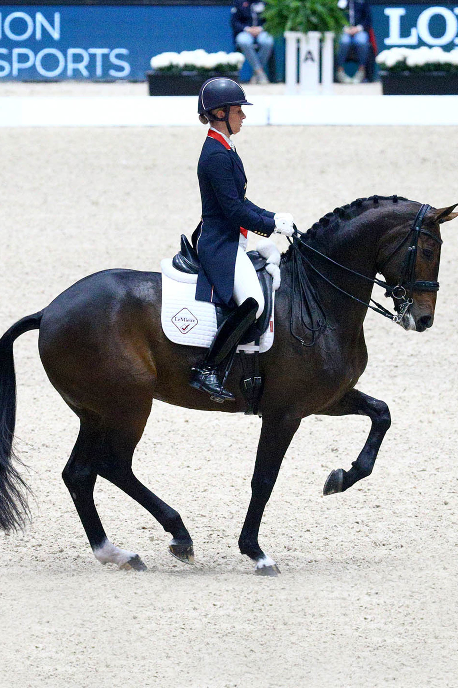 LeMieux Dressage Competition Square dressursjabrak