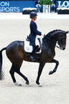 LeMieux Dressage Competition Square dressursjabrak
