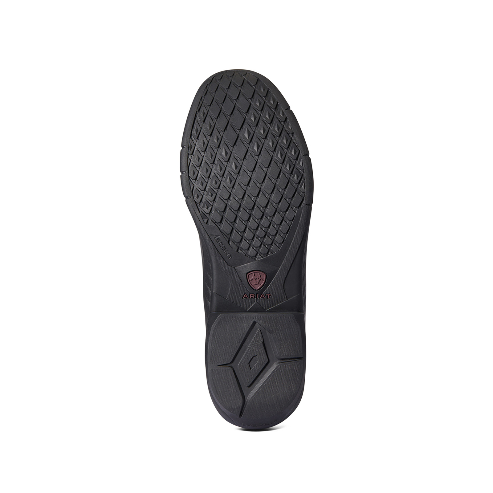 Ariat Ascent H2O jodhpursko, herre