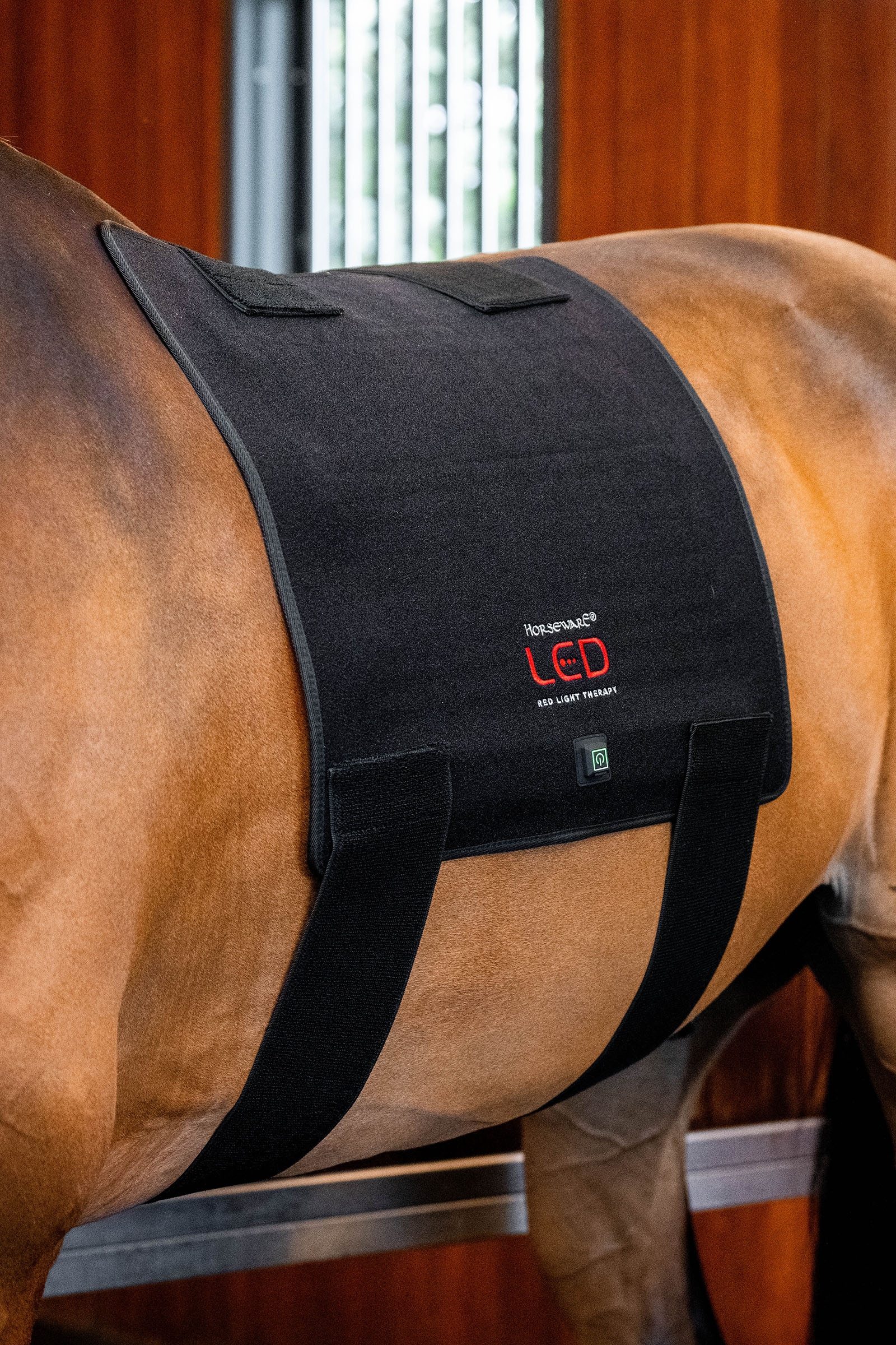 Horseware LED r&oslash;dt lys terapi Pad