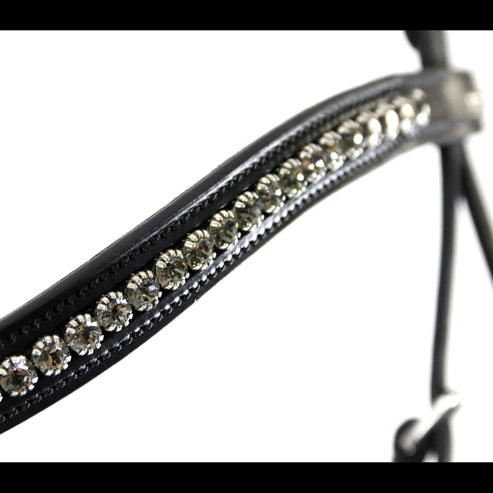 Schockemöhle Sports Equitus Beta hodelag