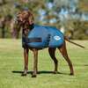 Weatherbeeta Comfitec Classic hundedekken, (45-80 cm)