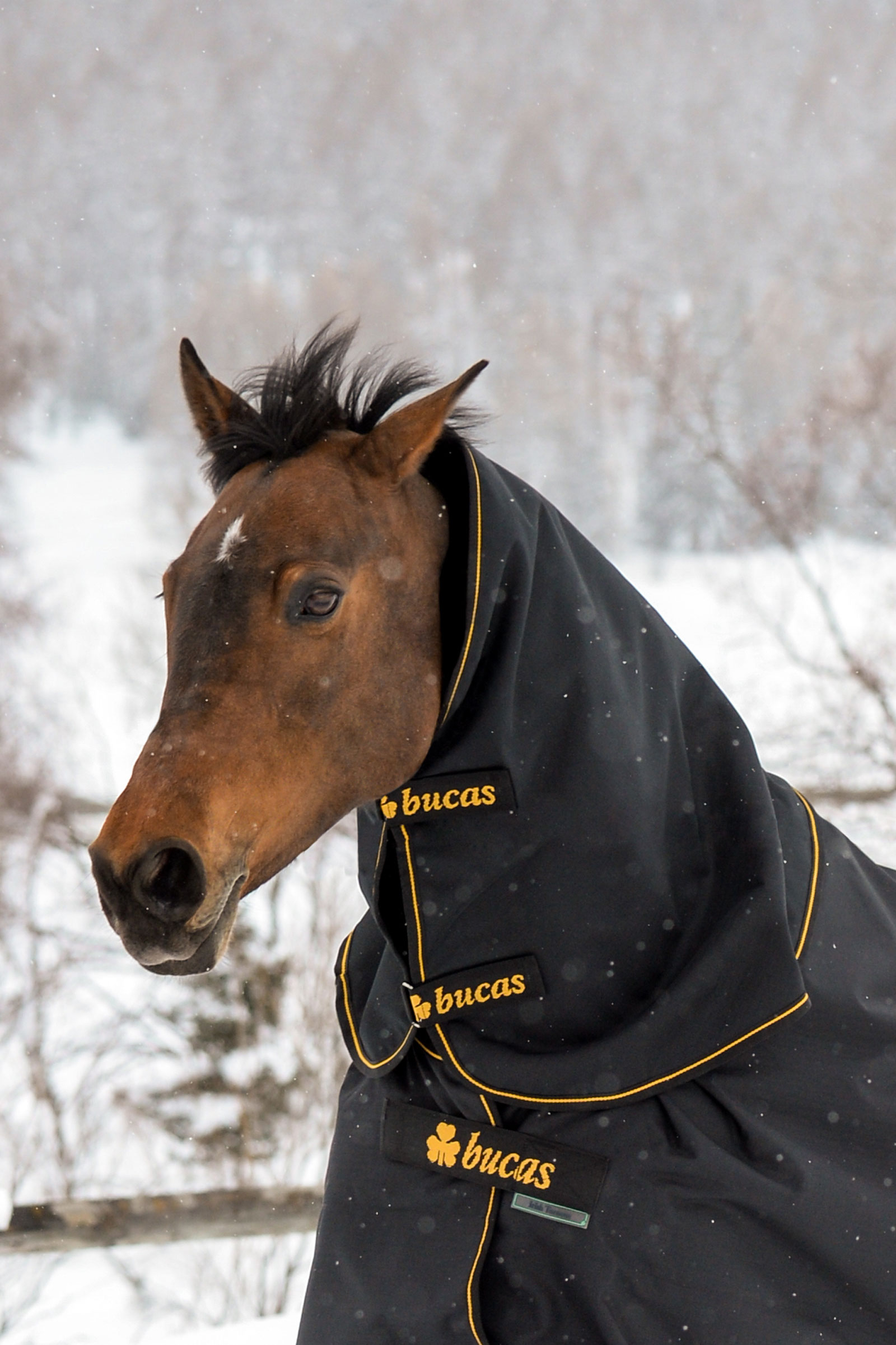 Bucas Irish Turnout halestykke, 300g