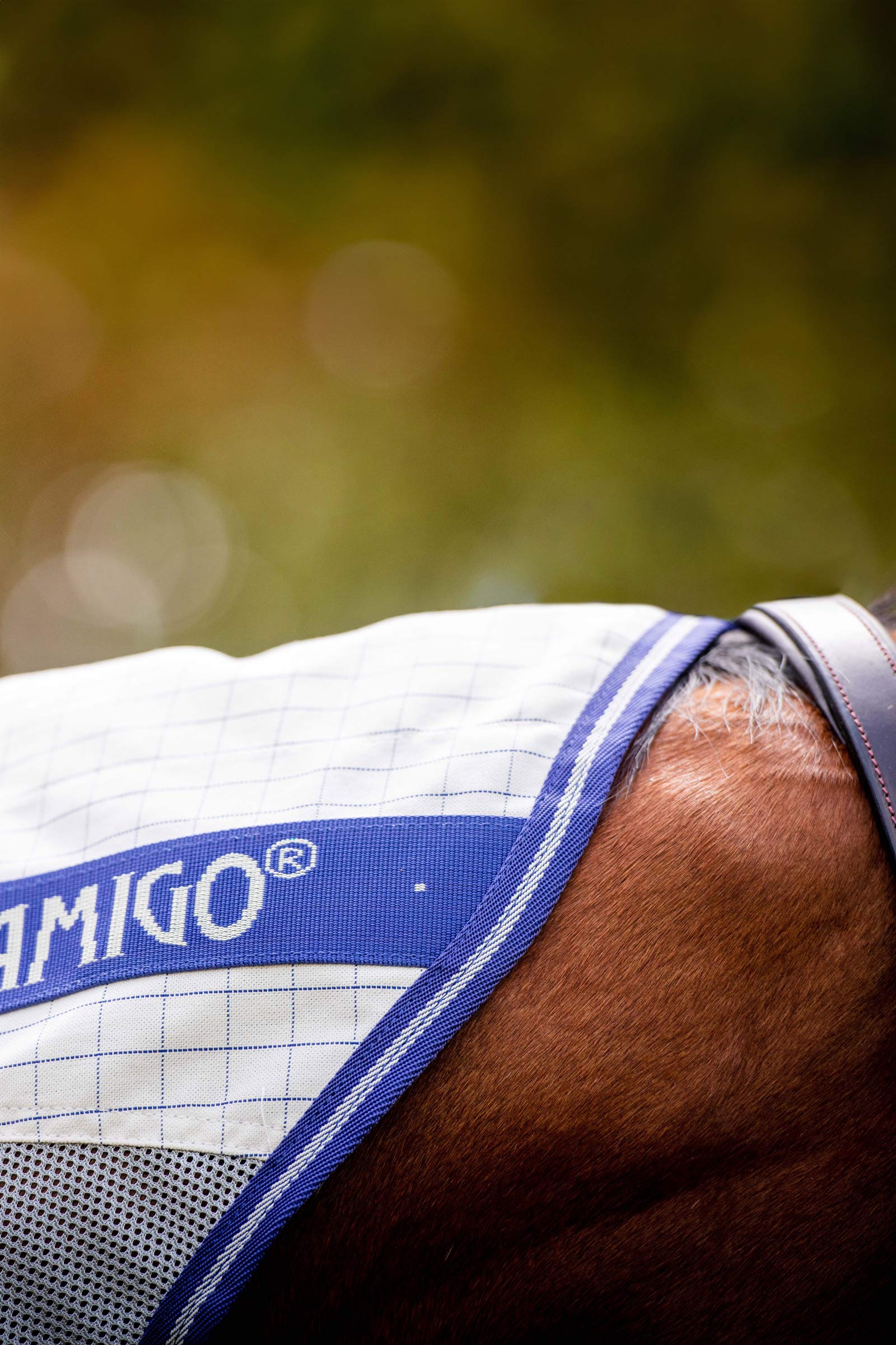 Horseware Amigo Airflow flueteppe med avtakbar nakkedel