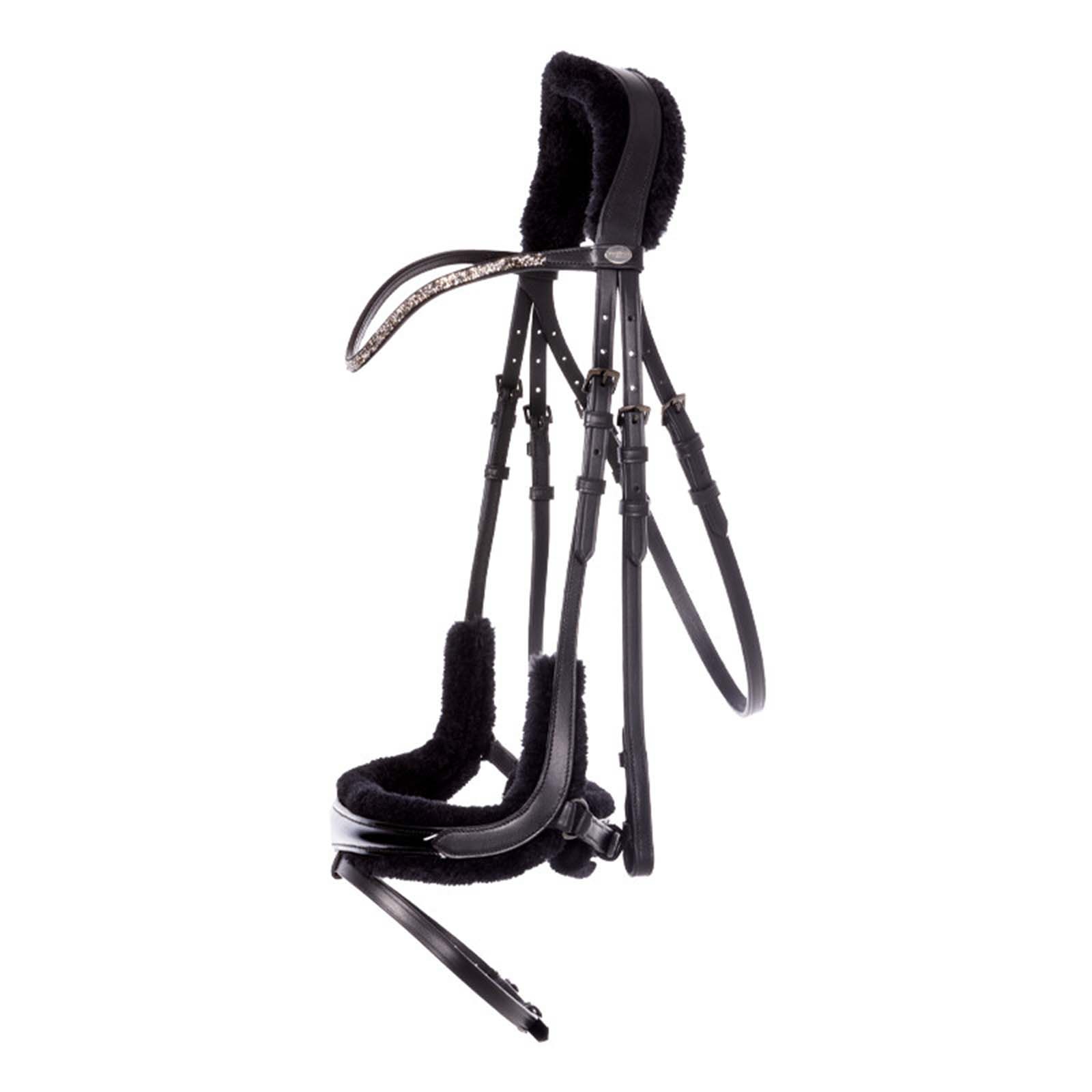 Kavalkade Ivella KavalSh4 hodelag