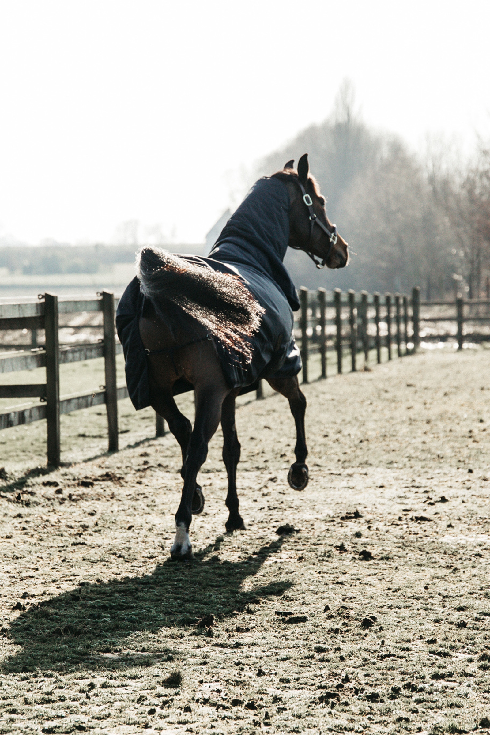 Kentucky Horsewear All Weather Waterproof Classic utedekken, 50 gram