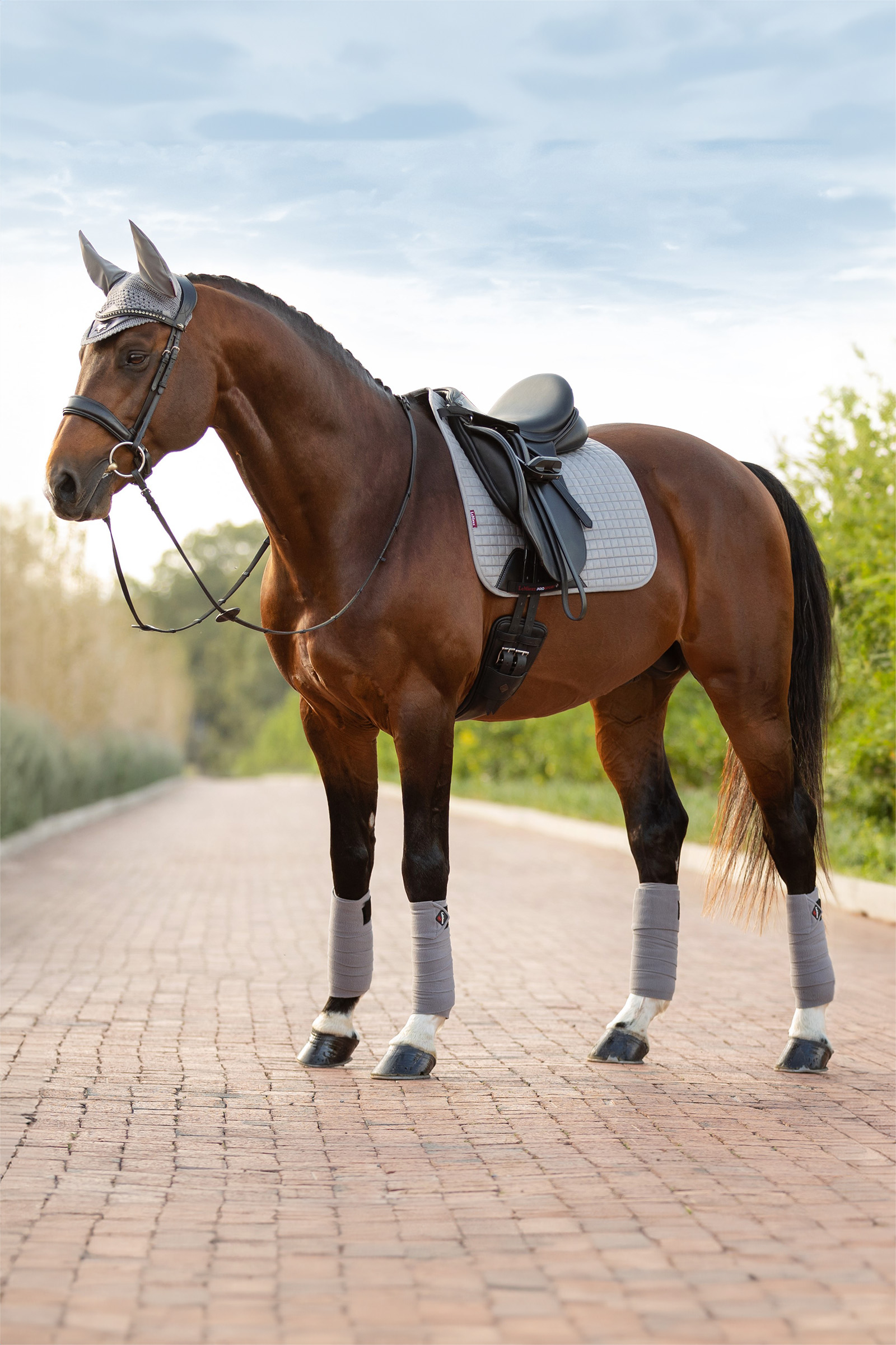 Grey LeMieux Suede dressursjabrak