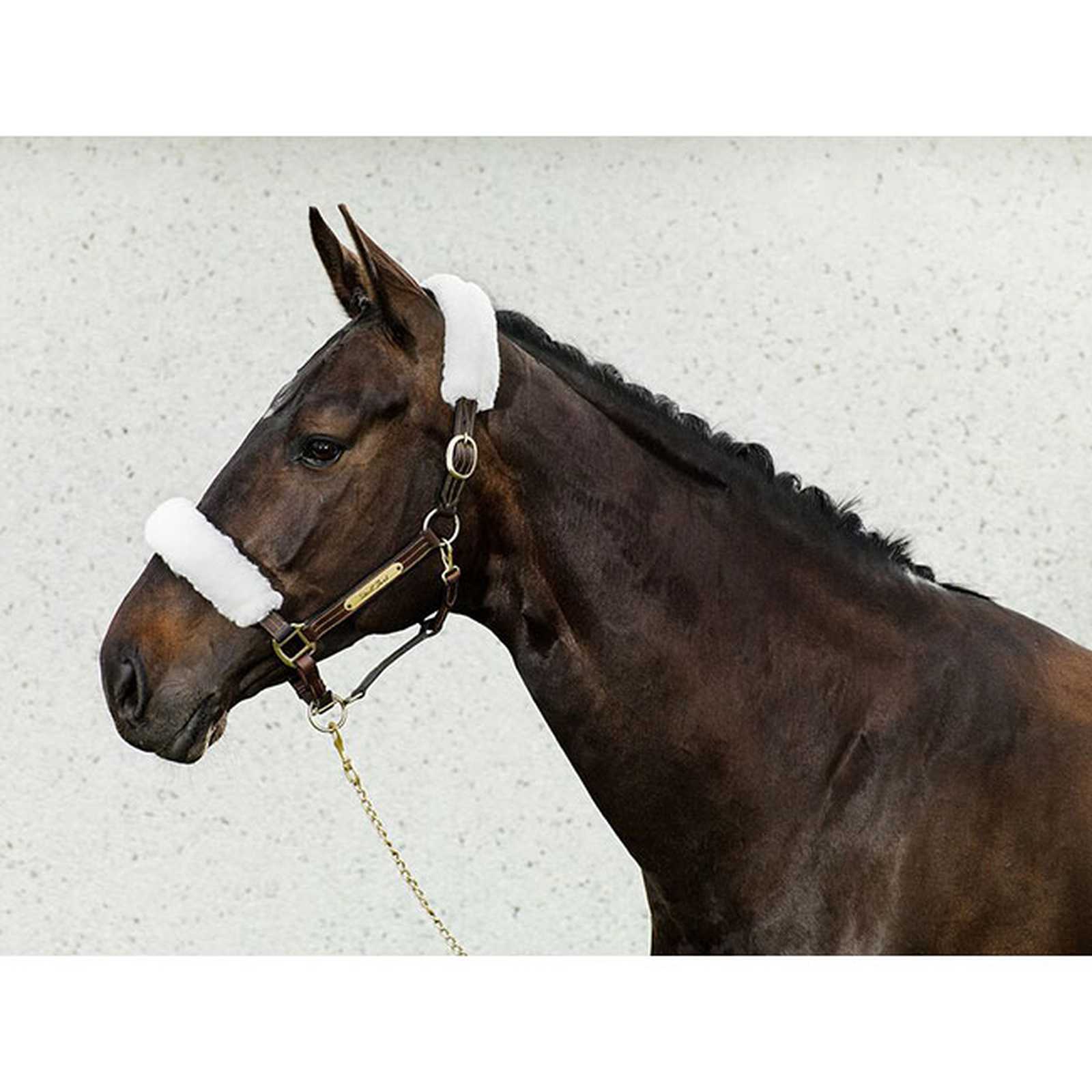 Back in Track grimetrekk