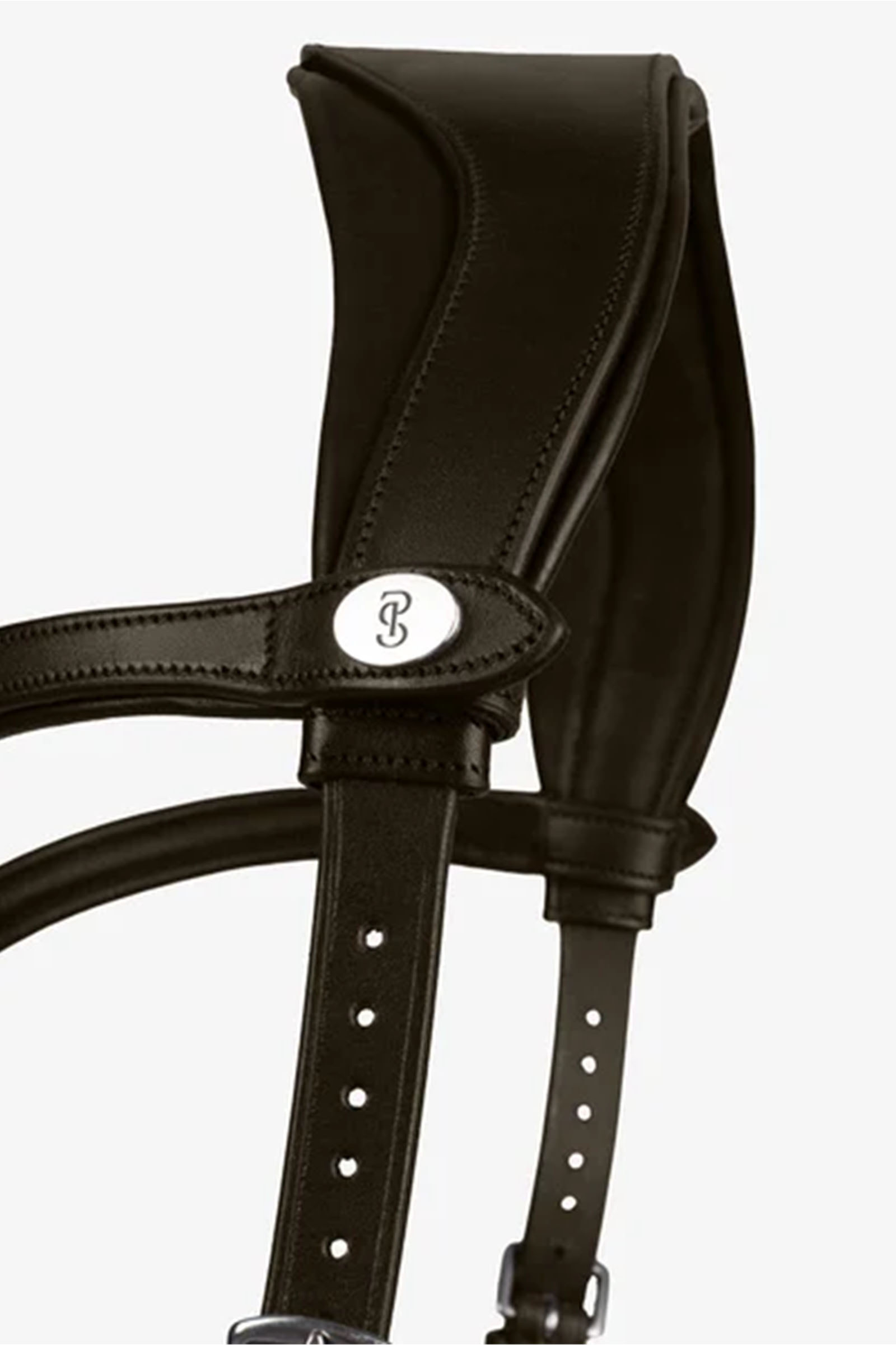 PS of Sweden Hodelag King Edward