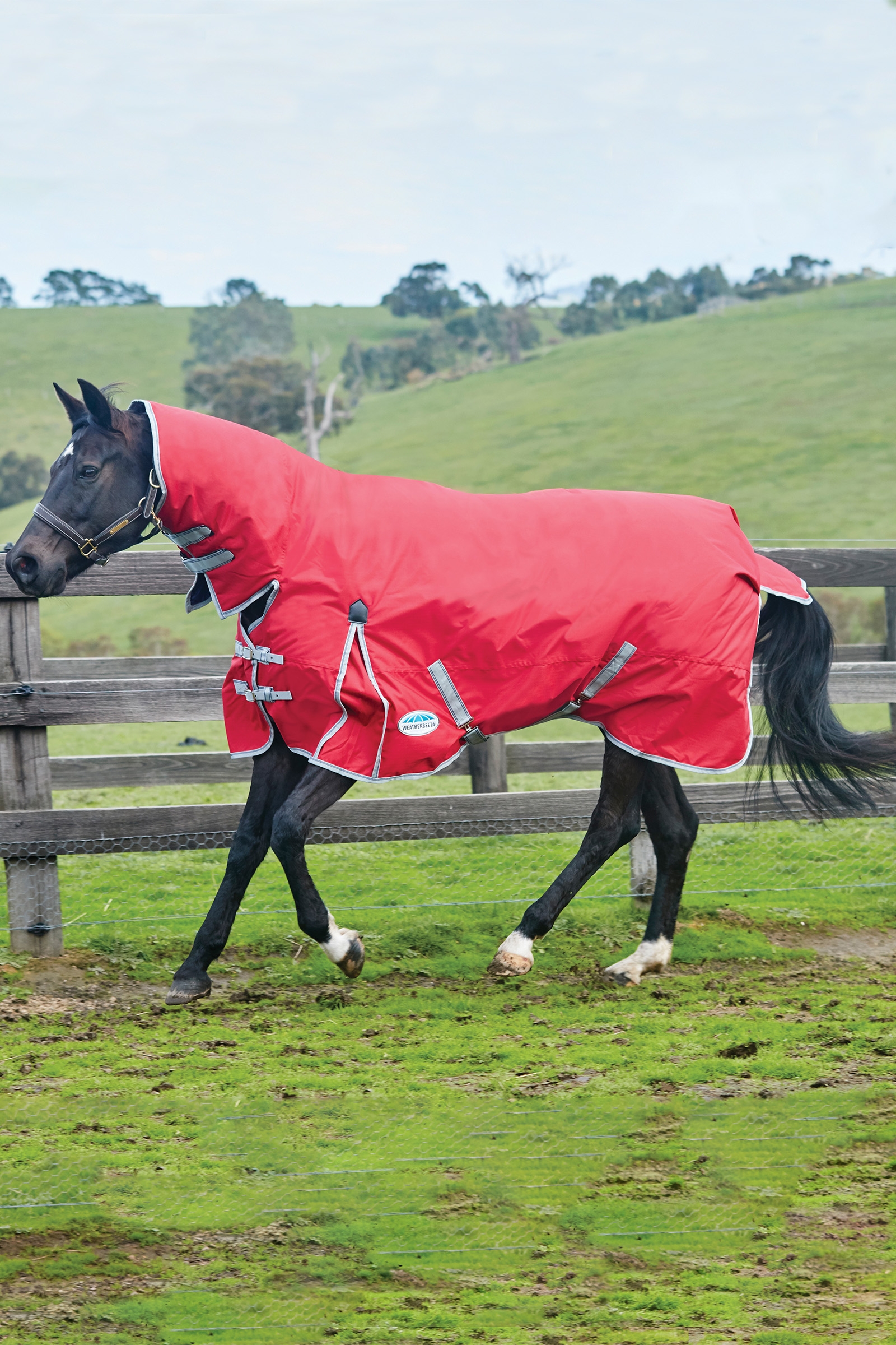 Weatherbeeta Comfitec Classic Dekken med integrert hals, 50g