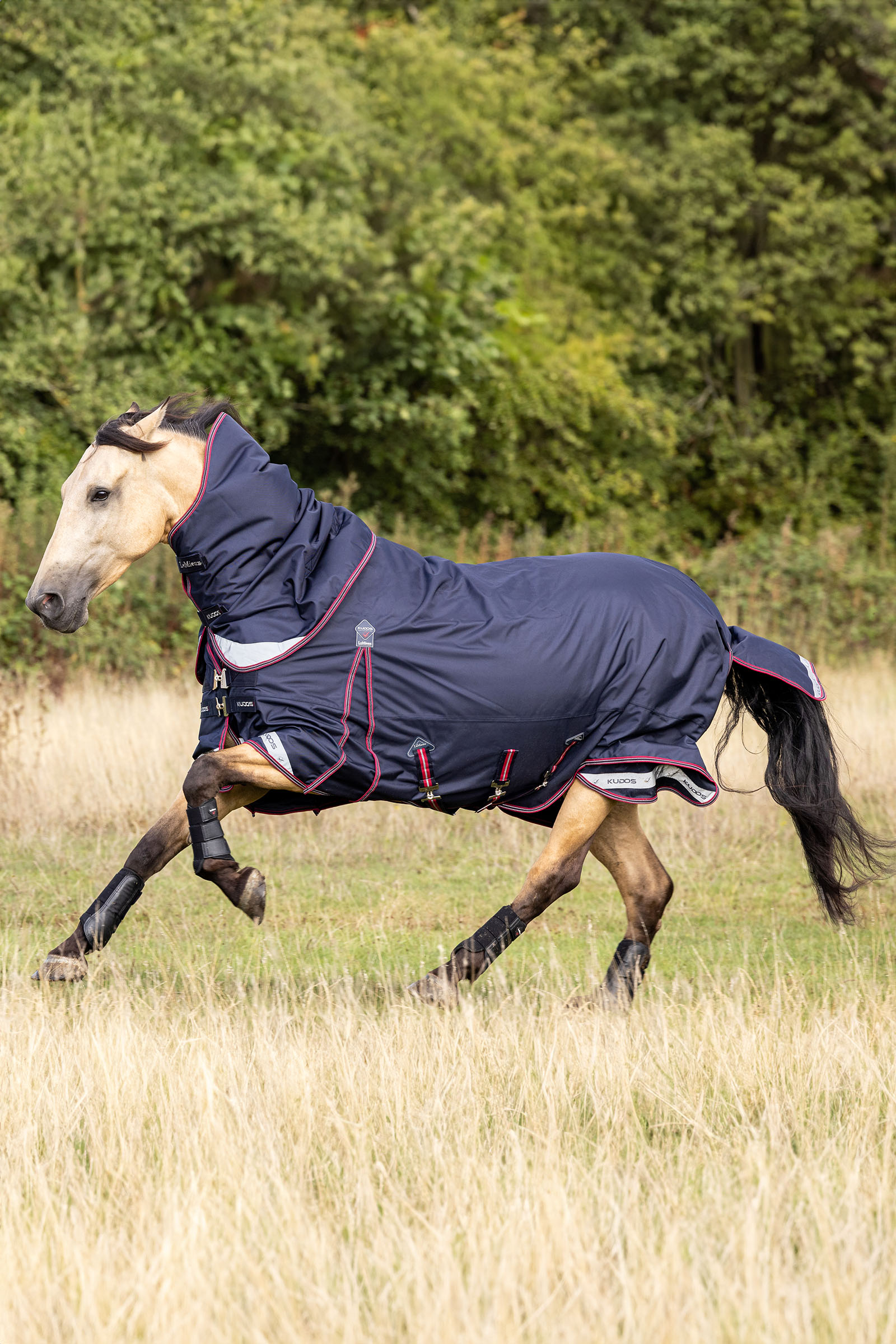 LeMieux Kudos lett utedekken 100g