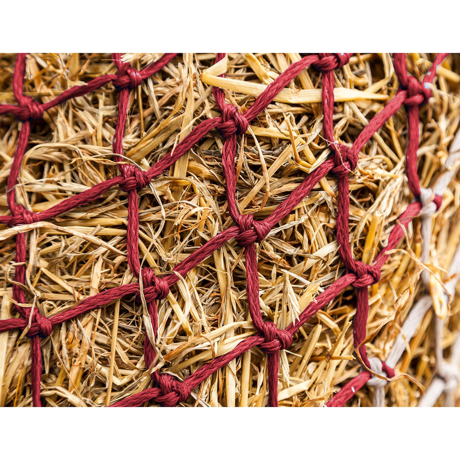 LeMieux Hippo h&oslash;ynett