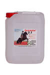 Stassek Quickstar 2.1 Premium Detergent for Dekker og sjabraker, 2 liters