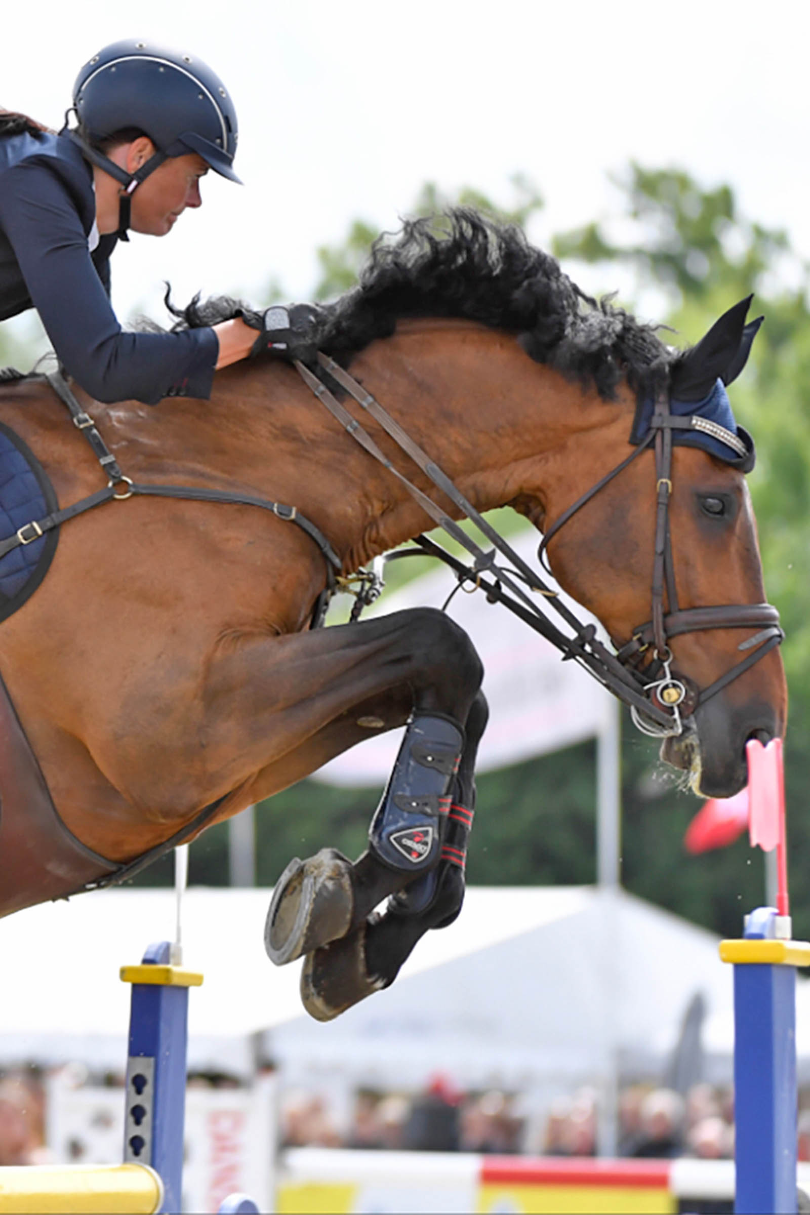 Catago FIR-Tech senebelegg