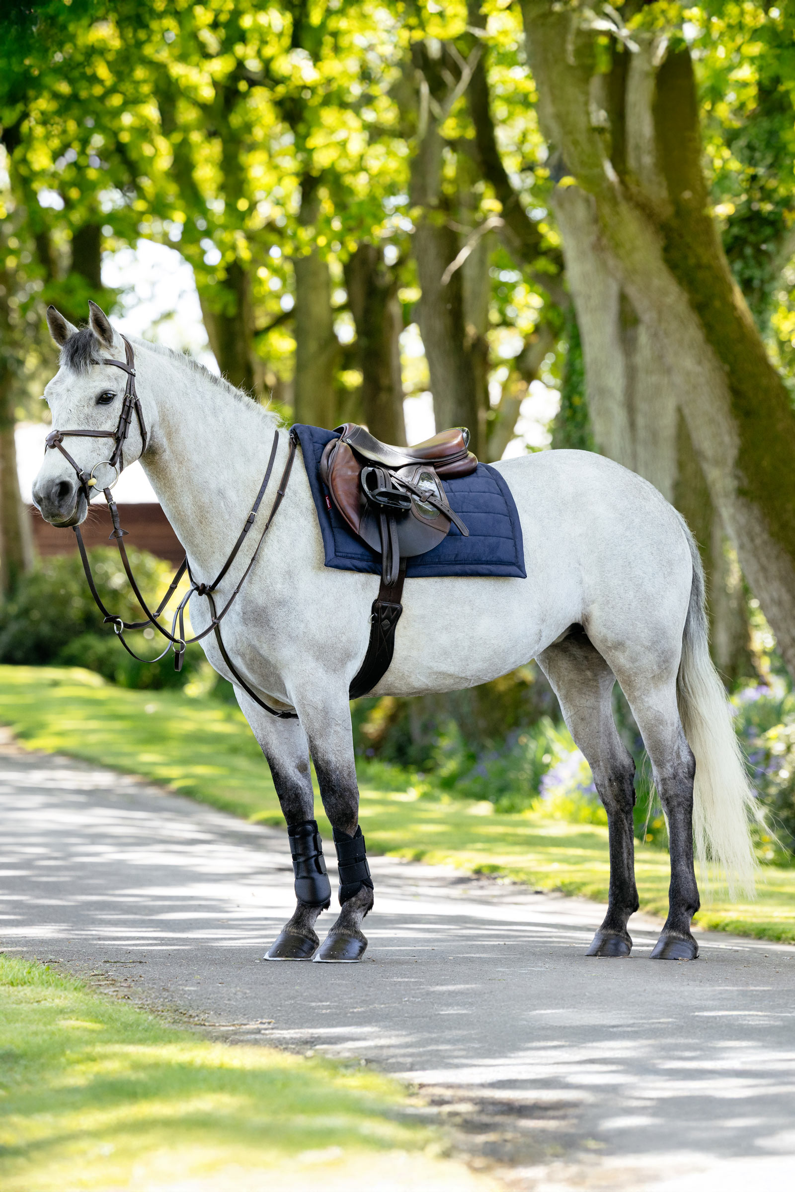 LeMieux Pillow vattert allroundsjabrak