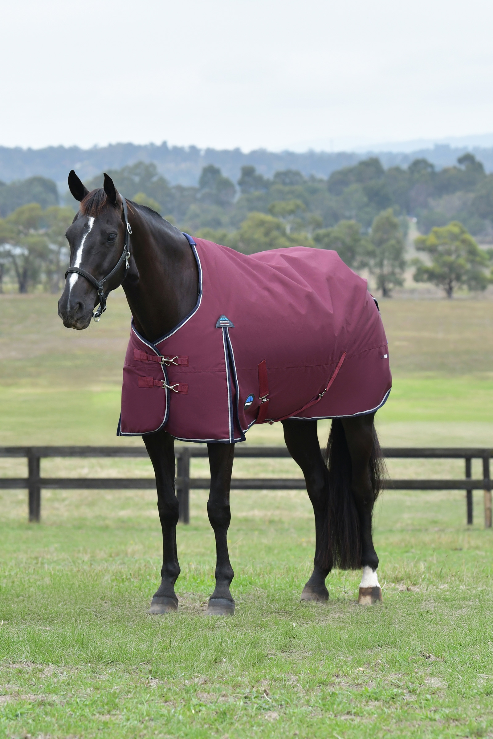 Weatherbeeta ComFiTec Essential Utedekken Standard Hals 50G
