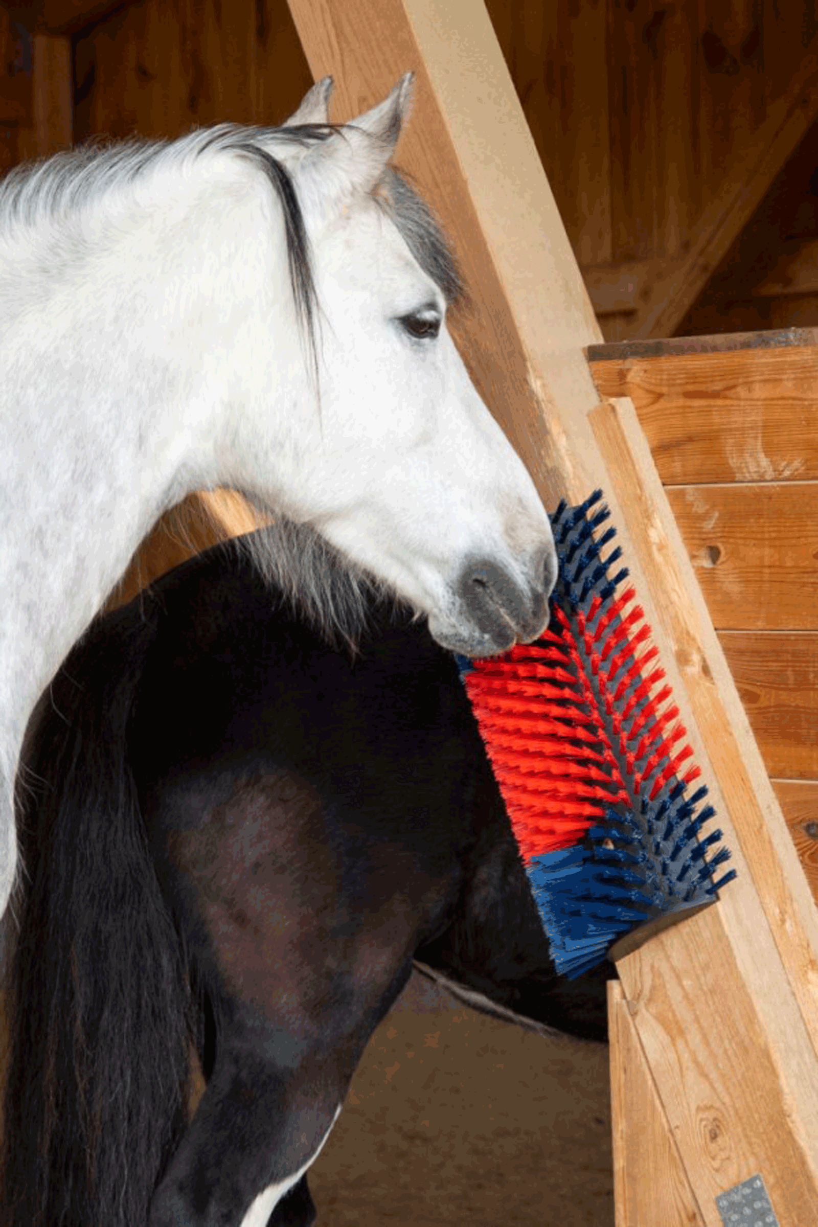 Kerbl XL kløbørste, rund