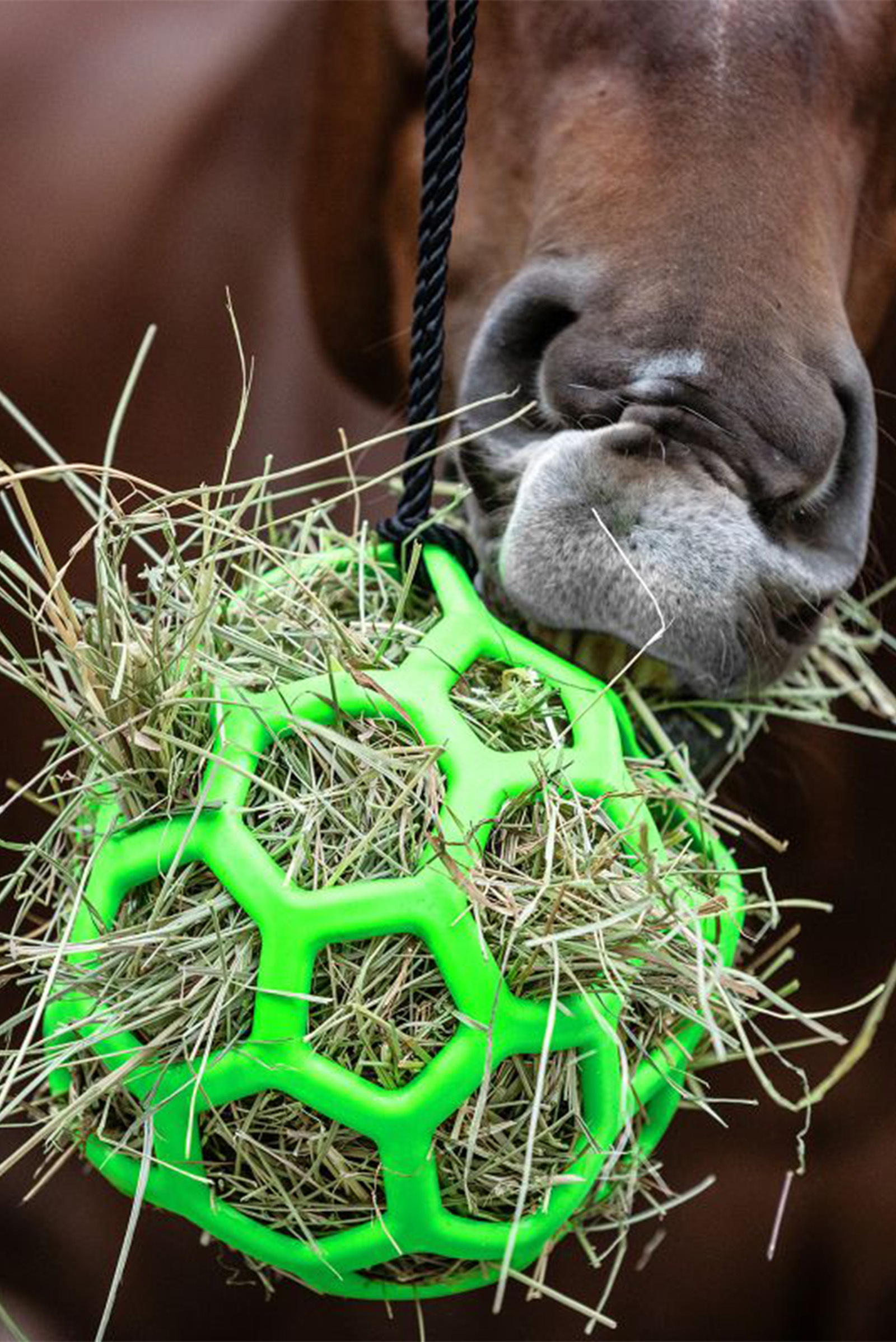 Waldhausen h&oslash;yball