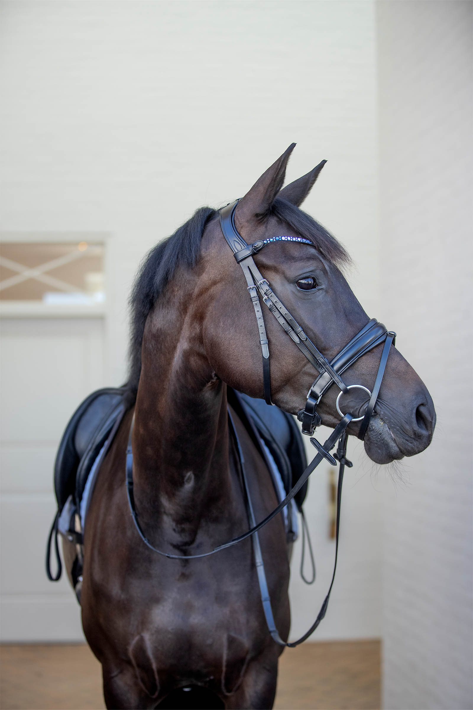 CATAGO Tori Bridle