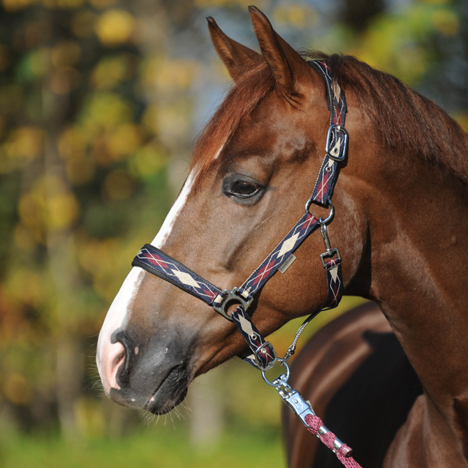 Kavalkade Classic Raute grime