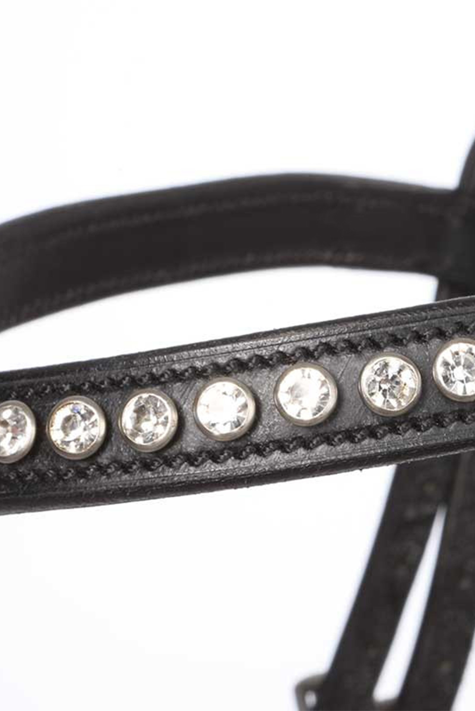 Kavalkade Charlotte dressurhodelag med pullback nesereim