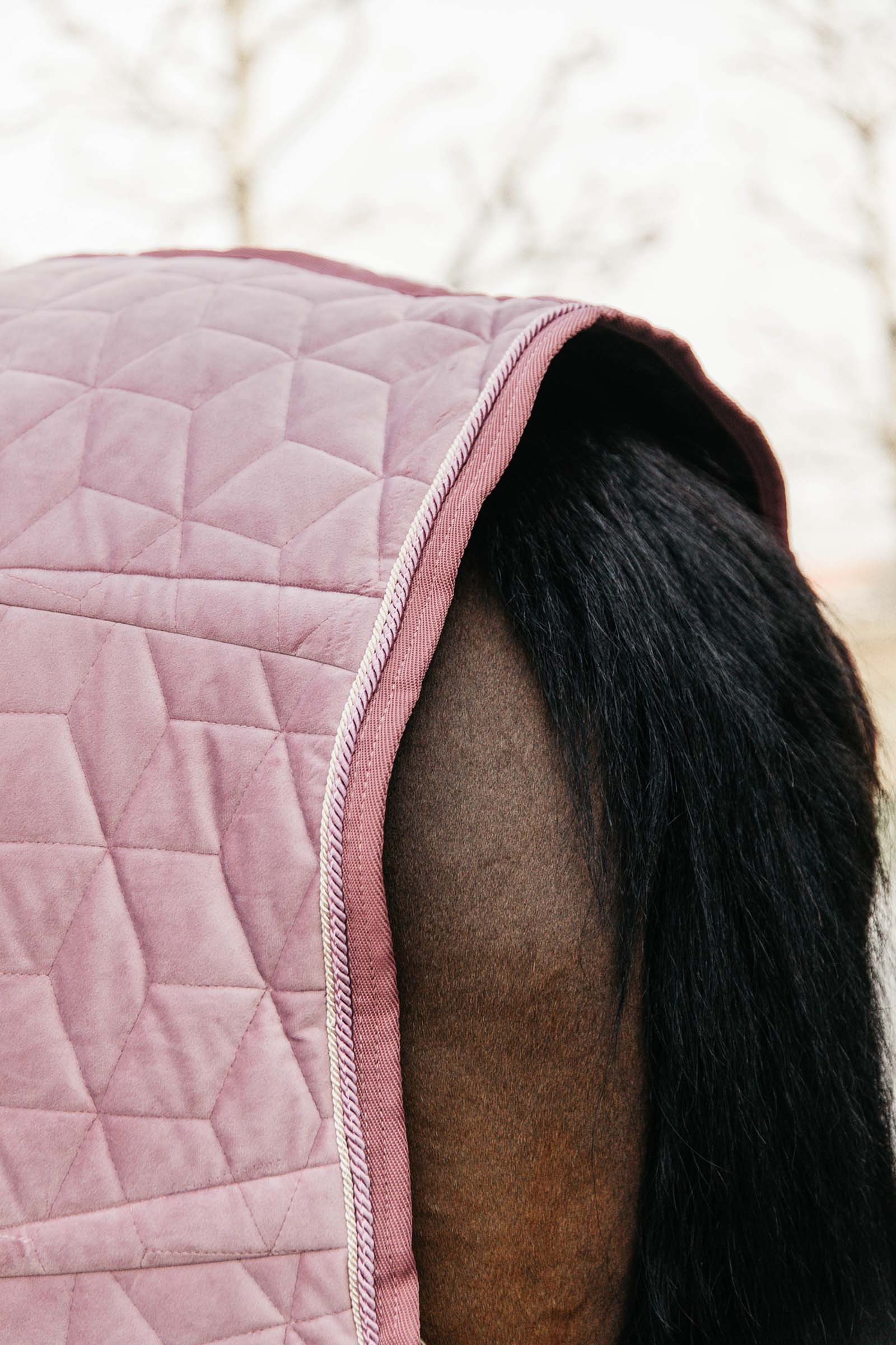 Kentucky Horsewear  Velvet stevnedekken, 160 gram