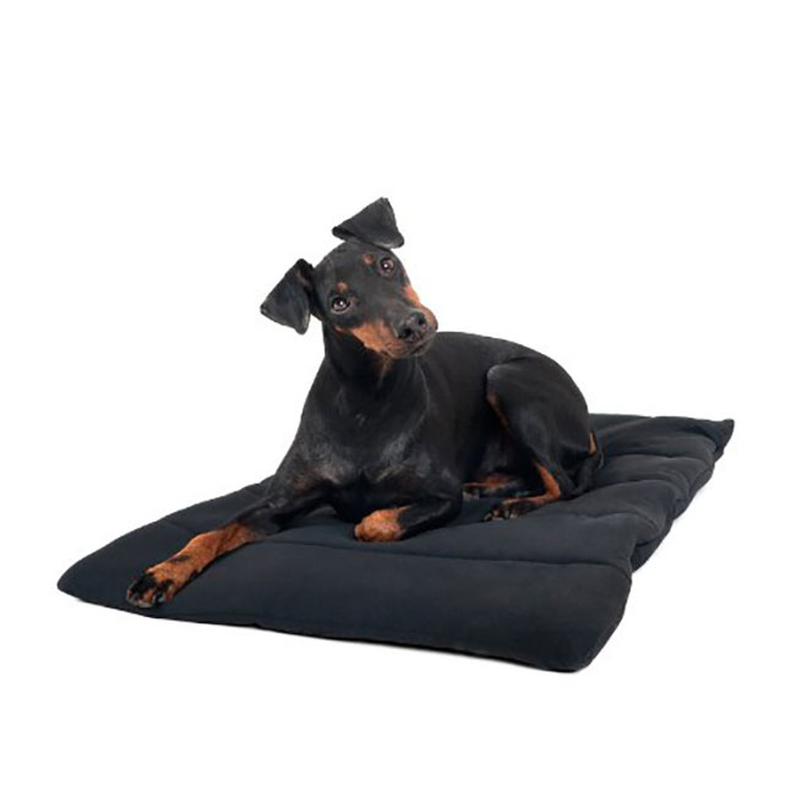 Back on Track hundeteppe