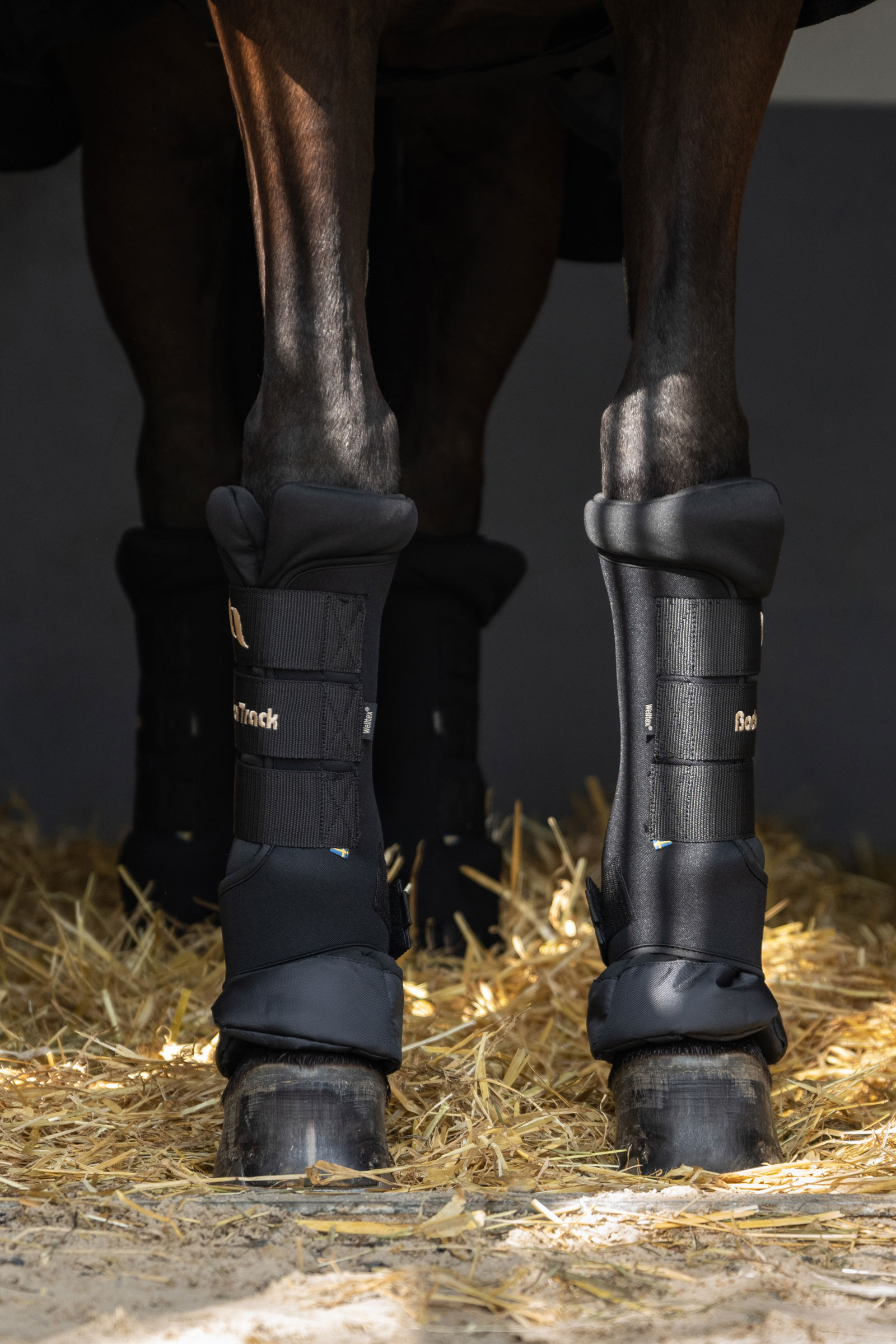 Back On Track Quick Royal stallbandasjer